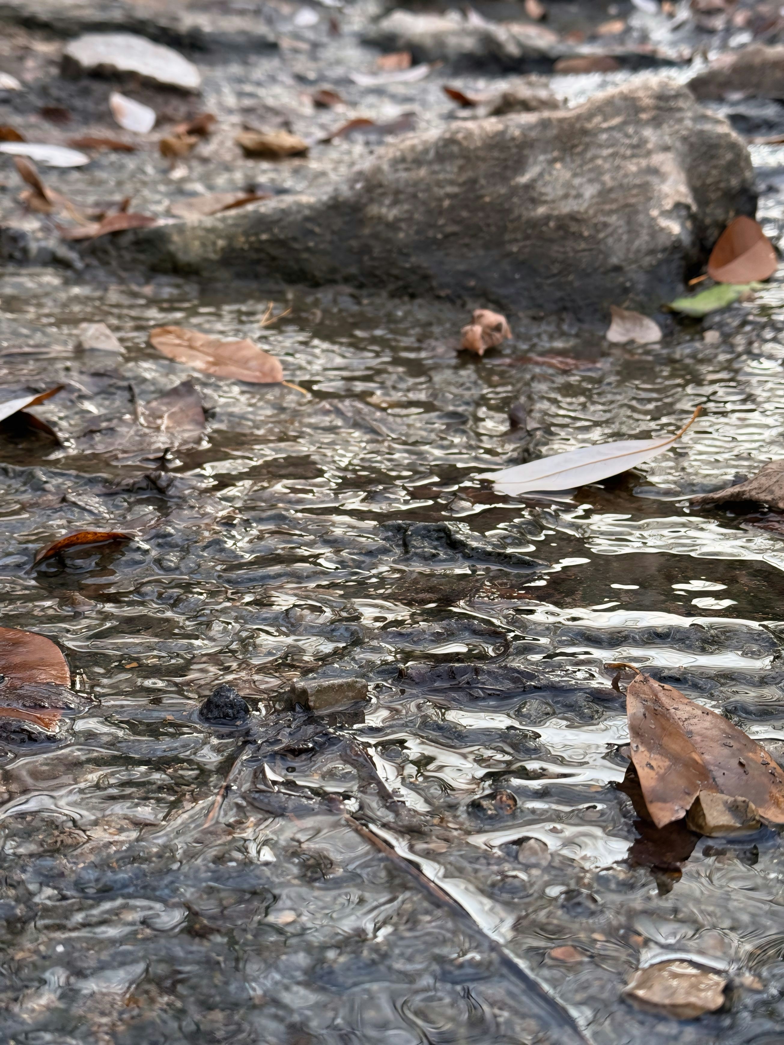 Photo by leemargaskin