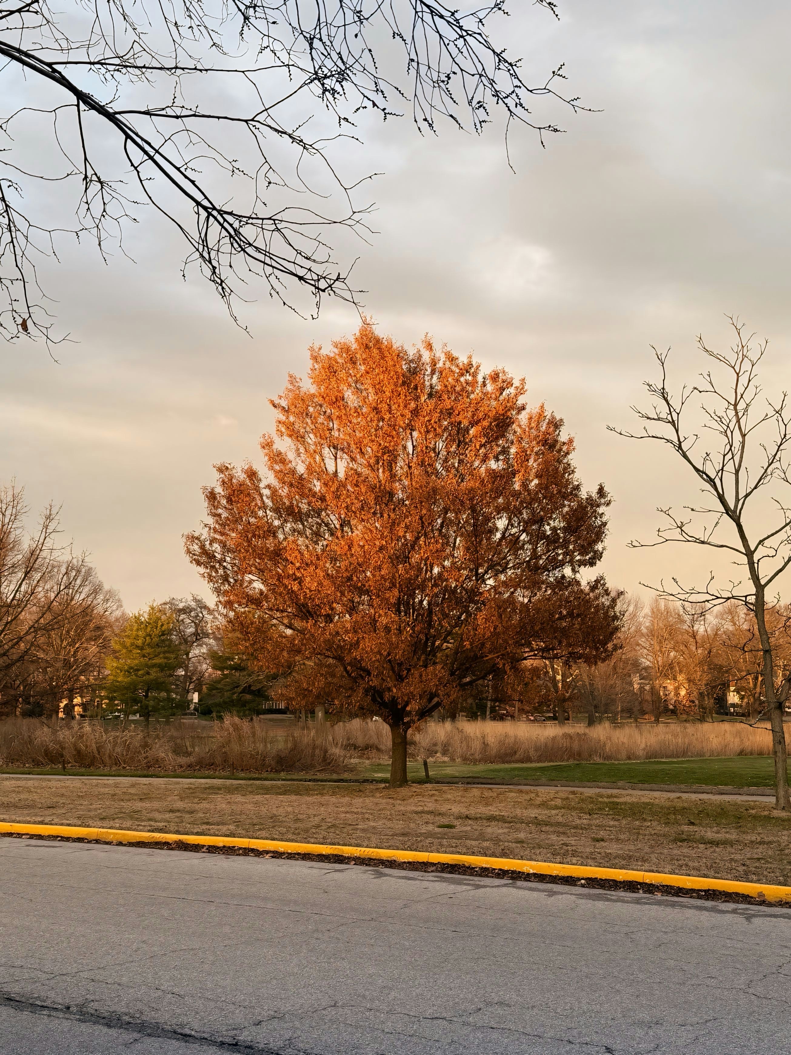 A stop sign on the side of a road