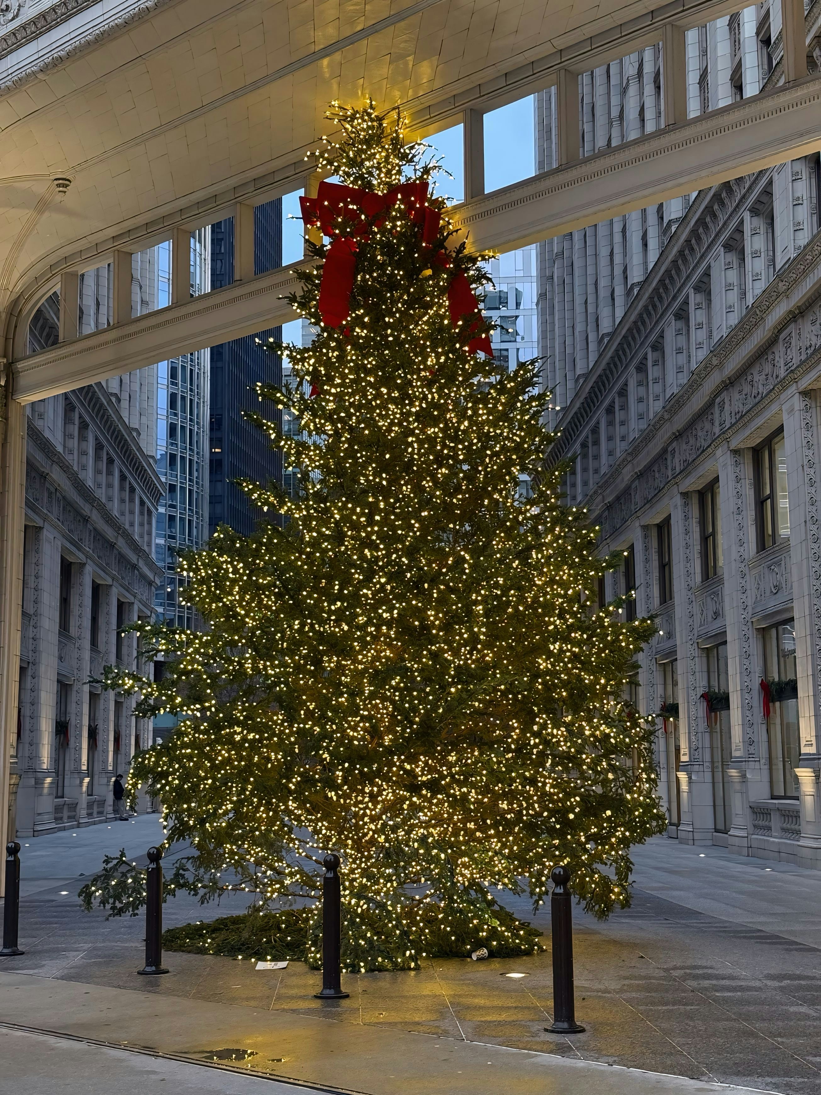 A large christmas tree in the middle of a city