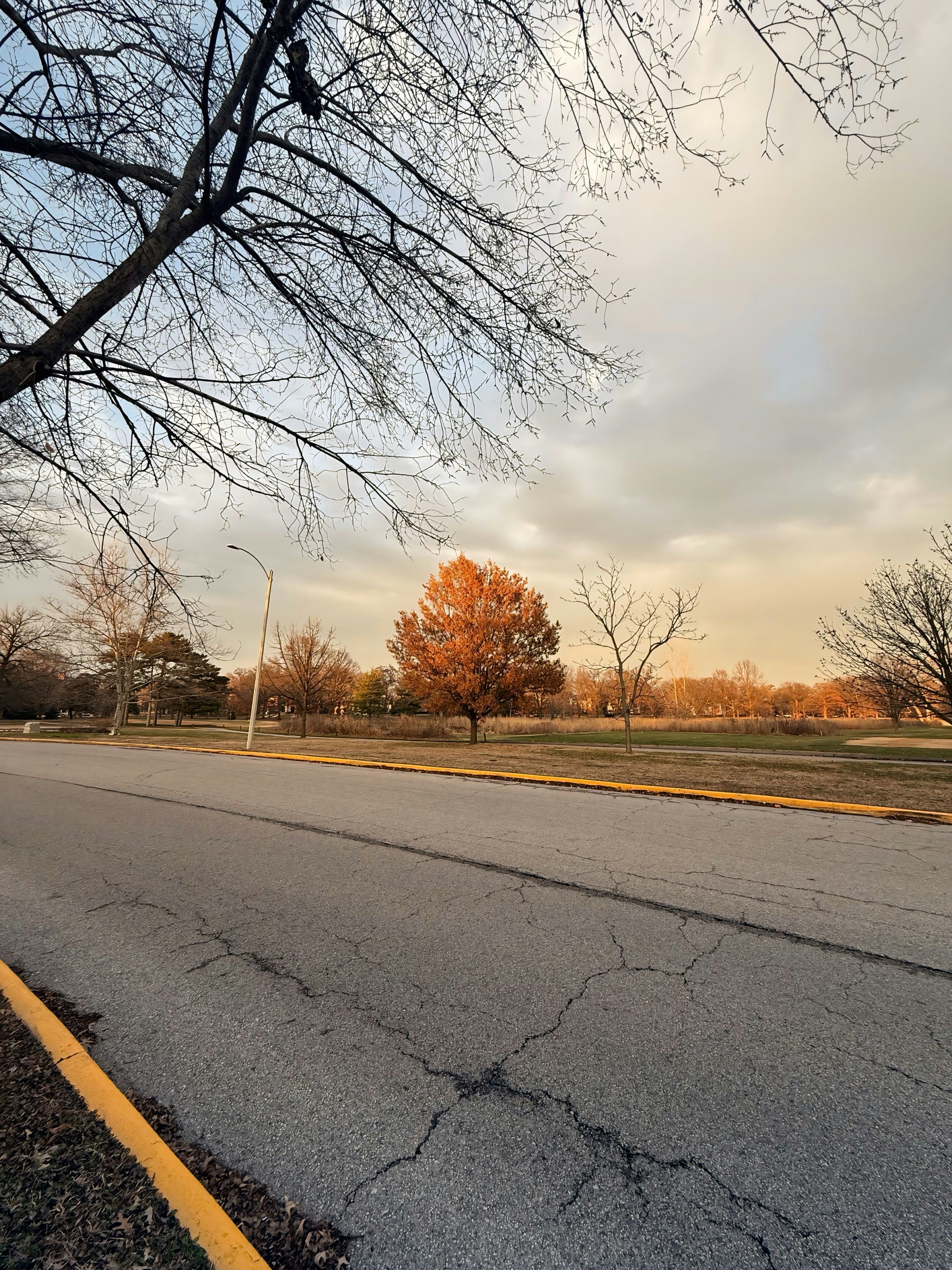 A street with a yellow line on the side of it