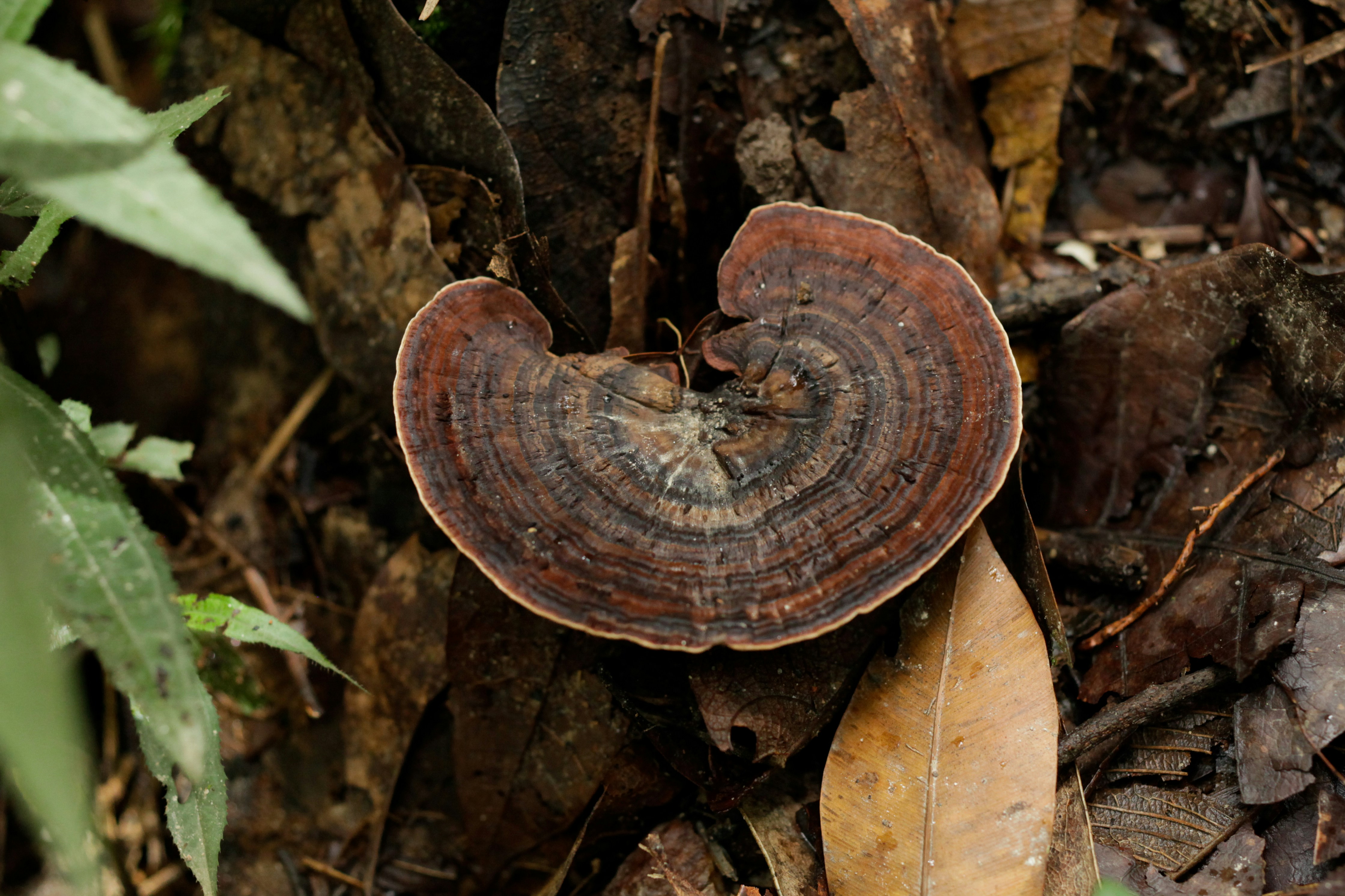 Photo by projetocafegatomourisco