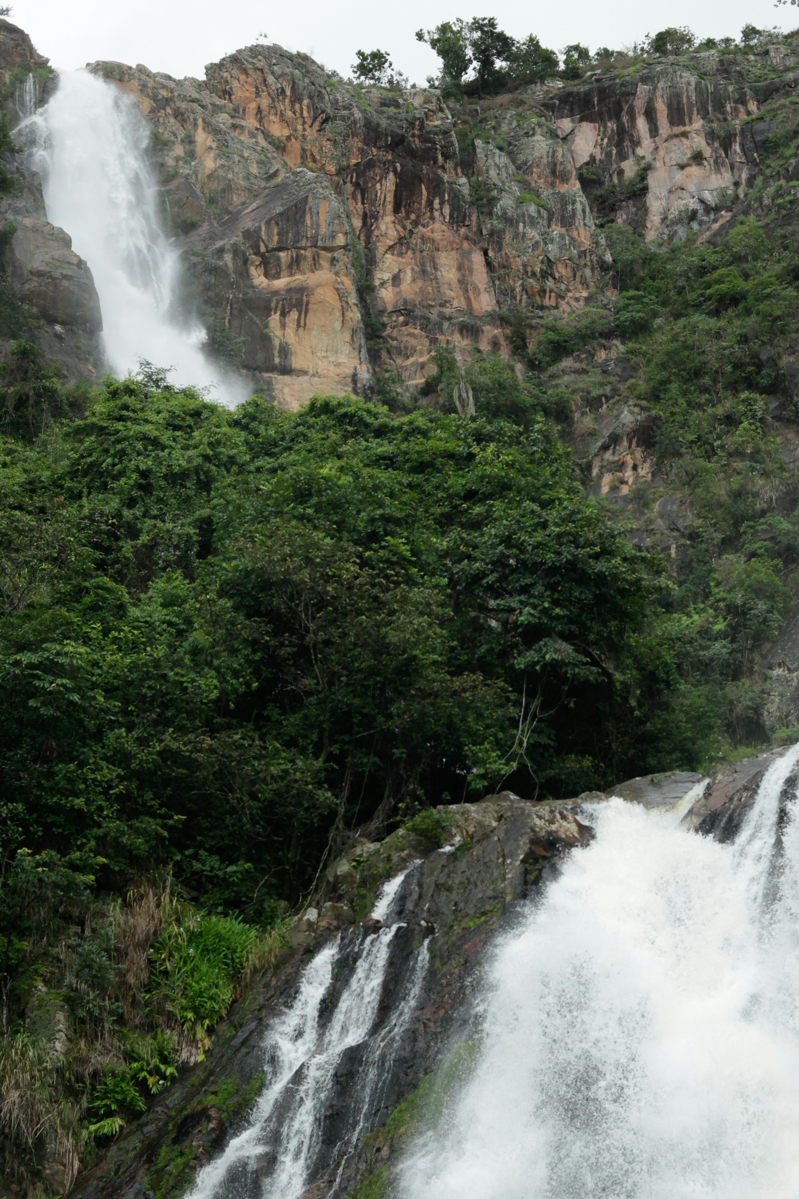 Photo by projetocafegatomourisco