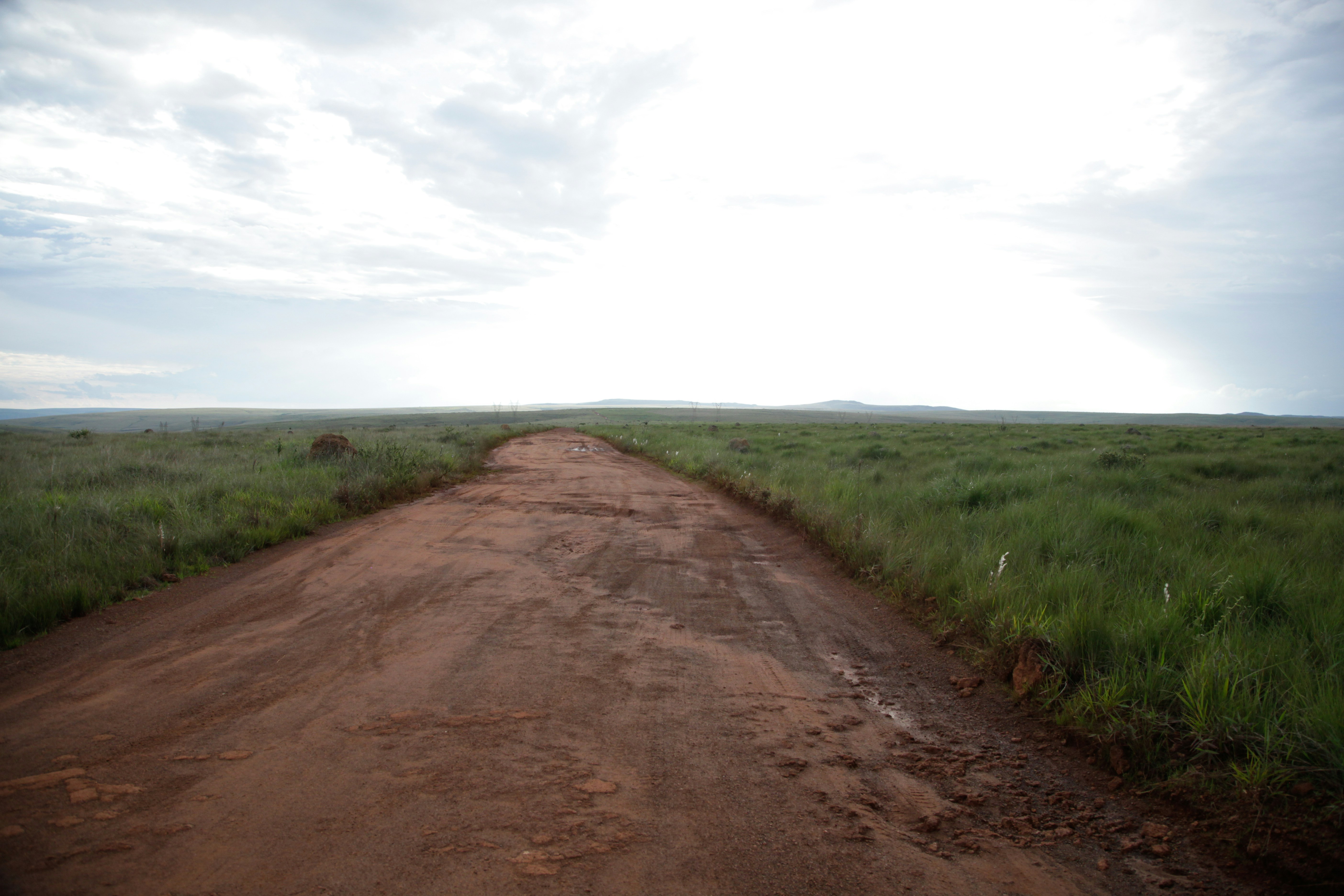 Photo by projetocafegatomourisco