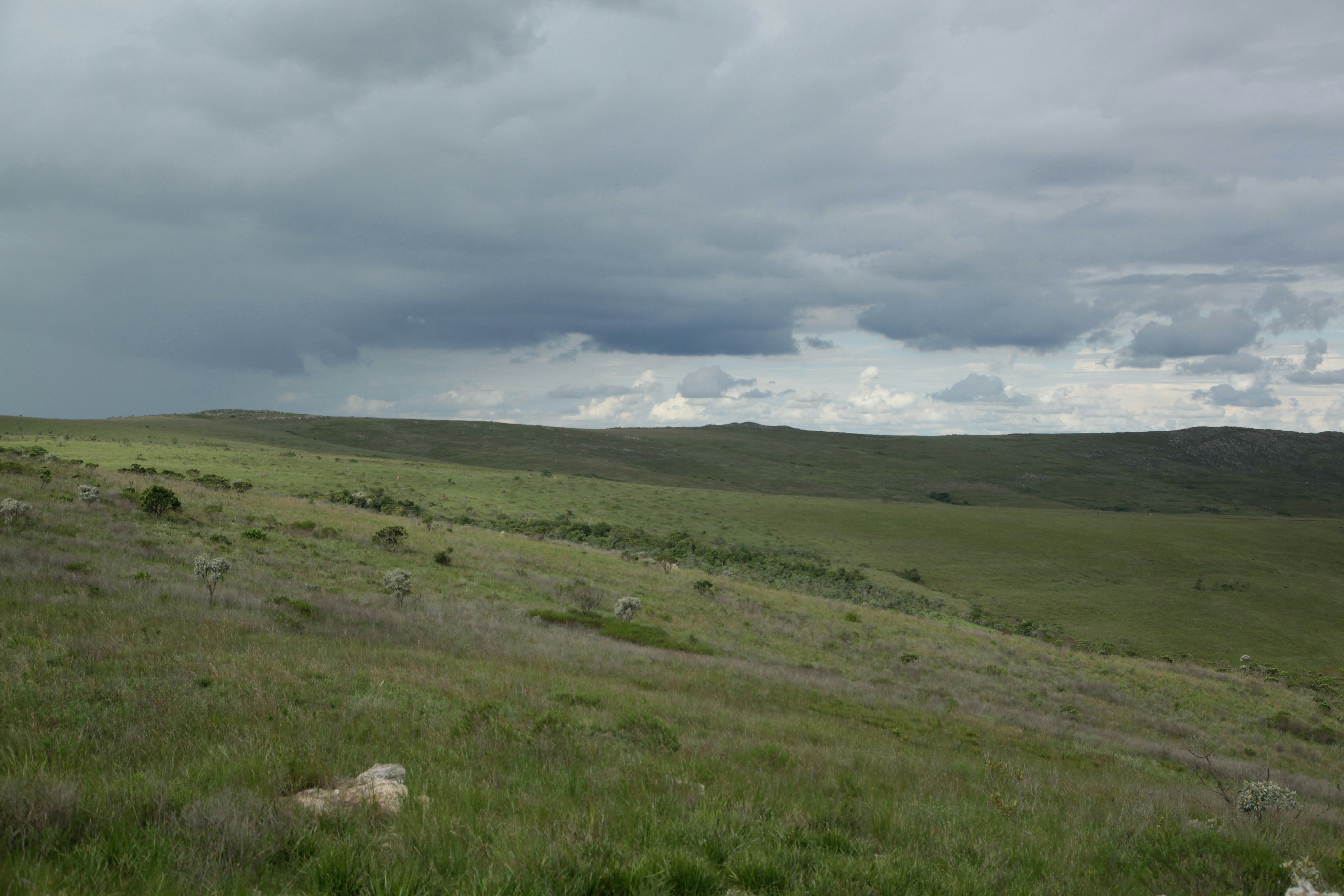 Photo by projetocafegatomourisco