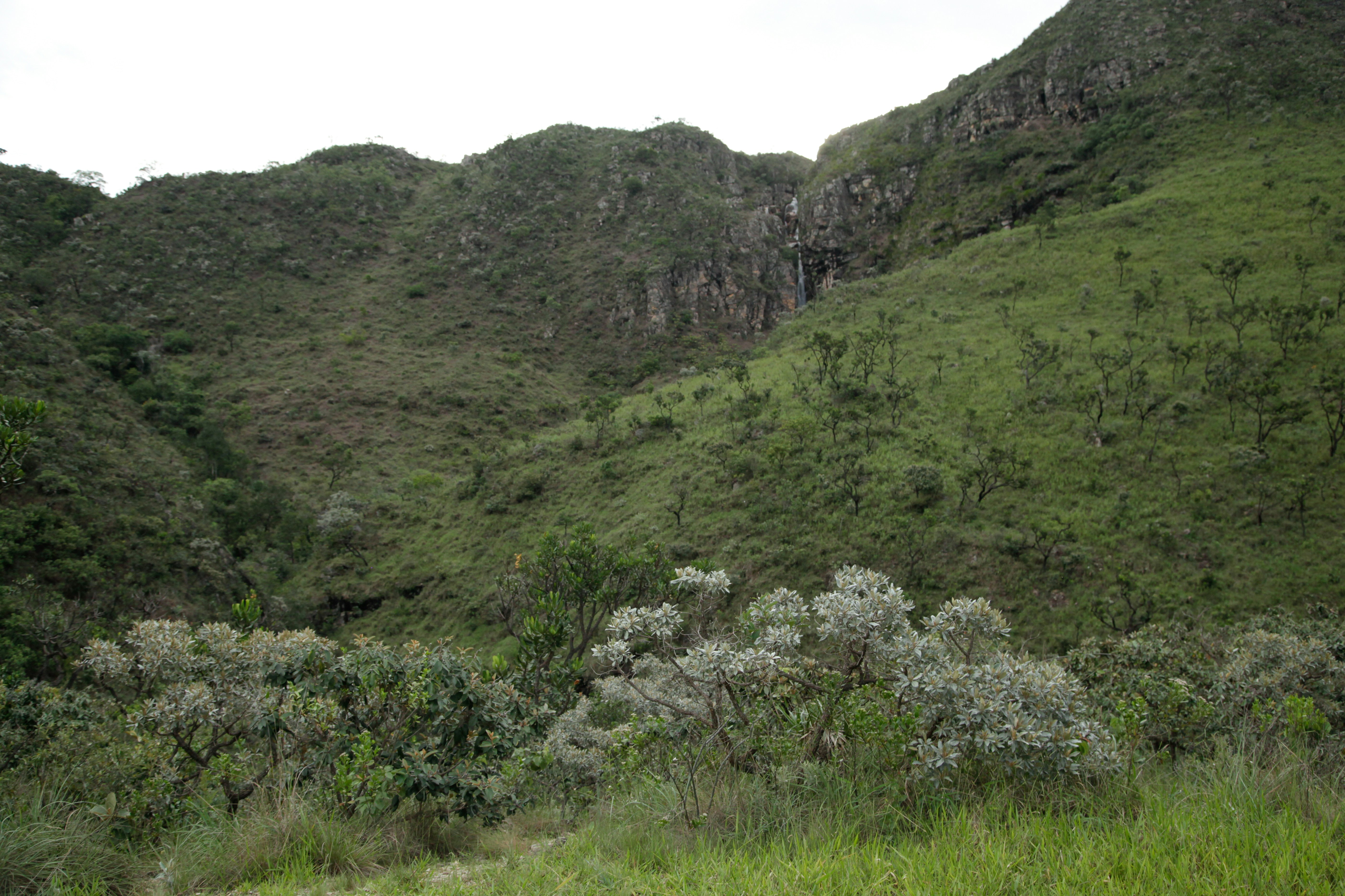 Photo by projetocafegatomourisco