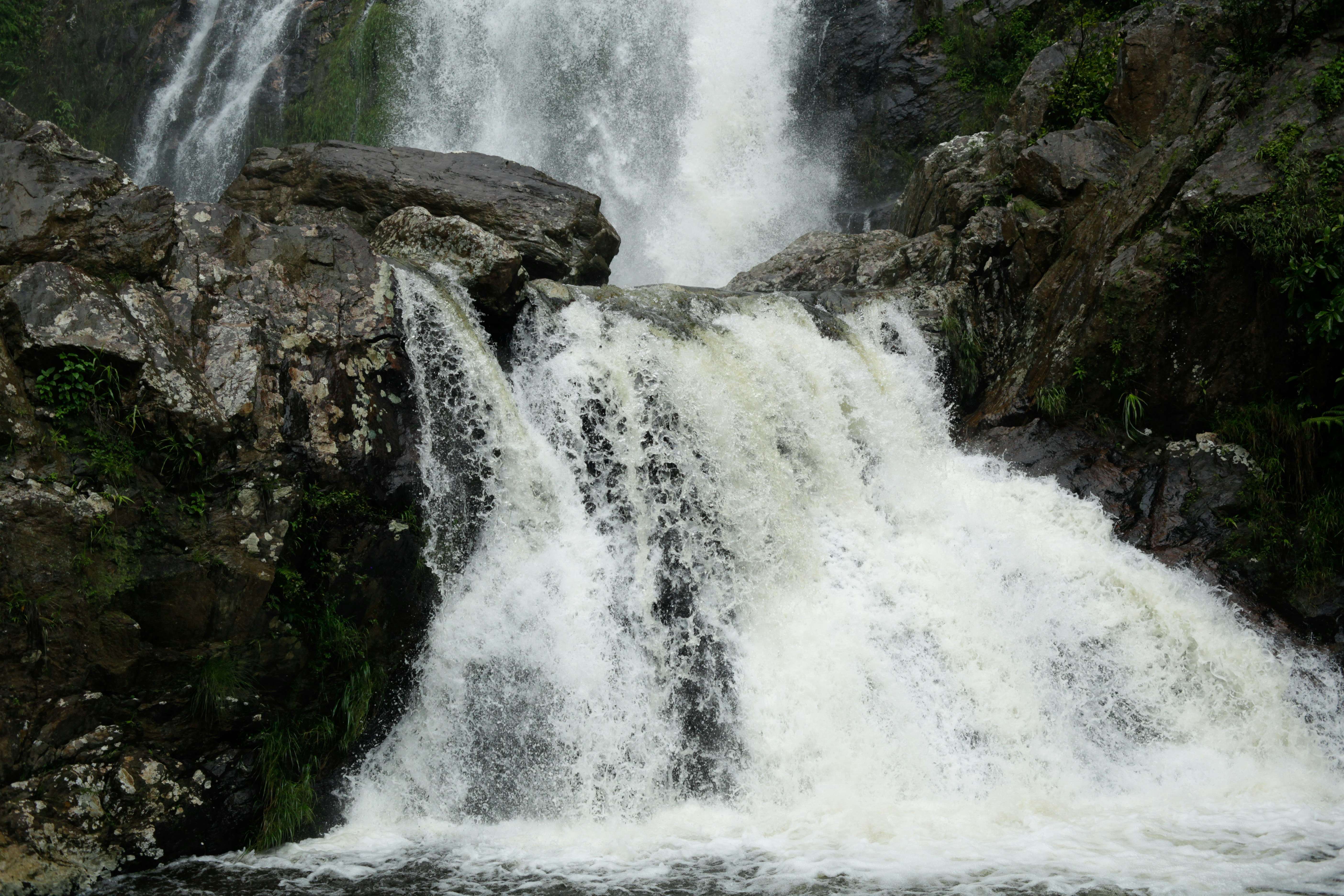 Photo by projetocafegatomourisco