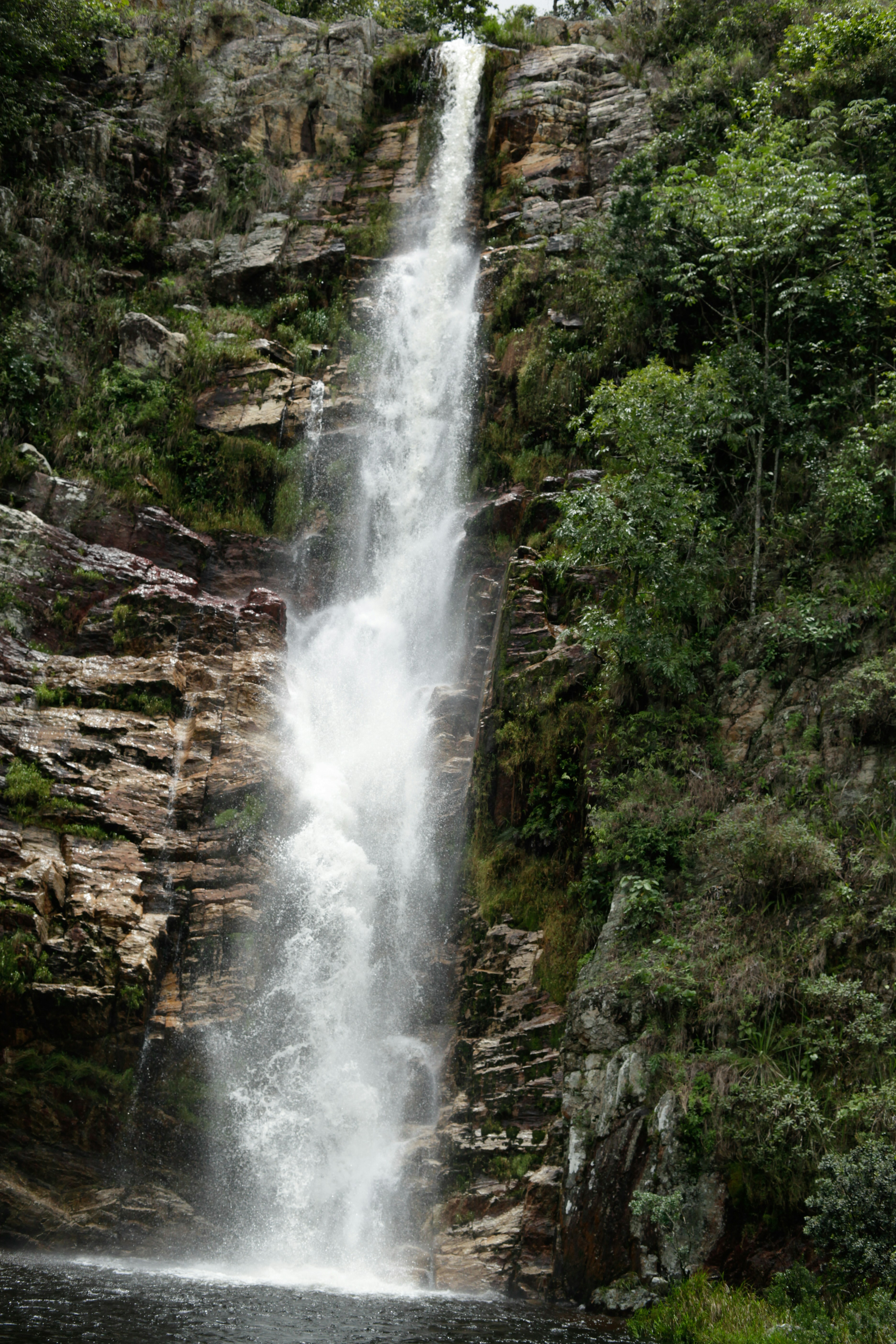 Photo by projetocafegatomourisco