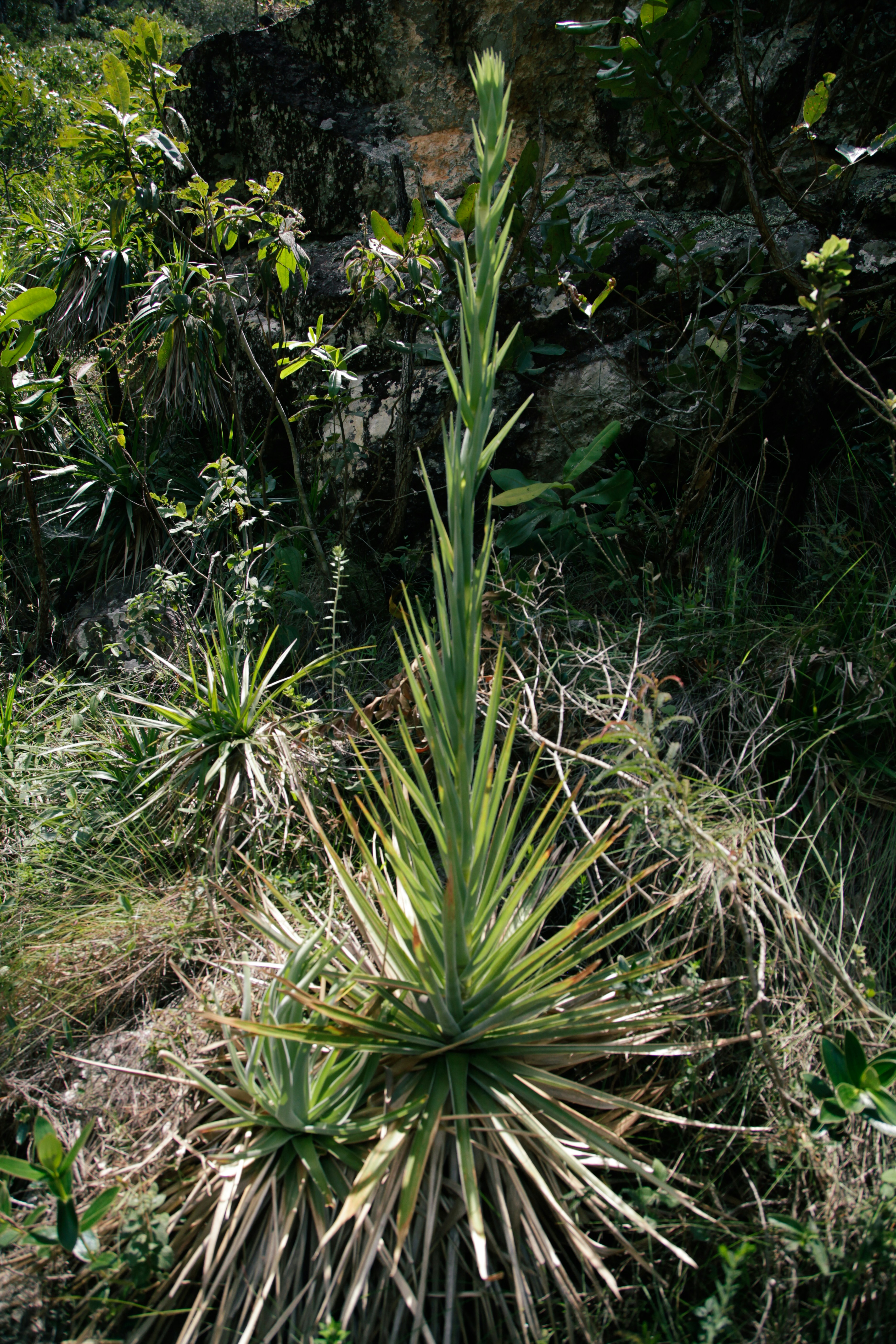 Photo by projetocafegatomourisco