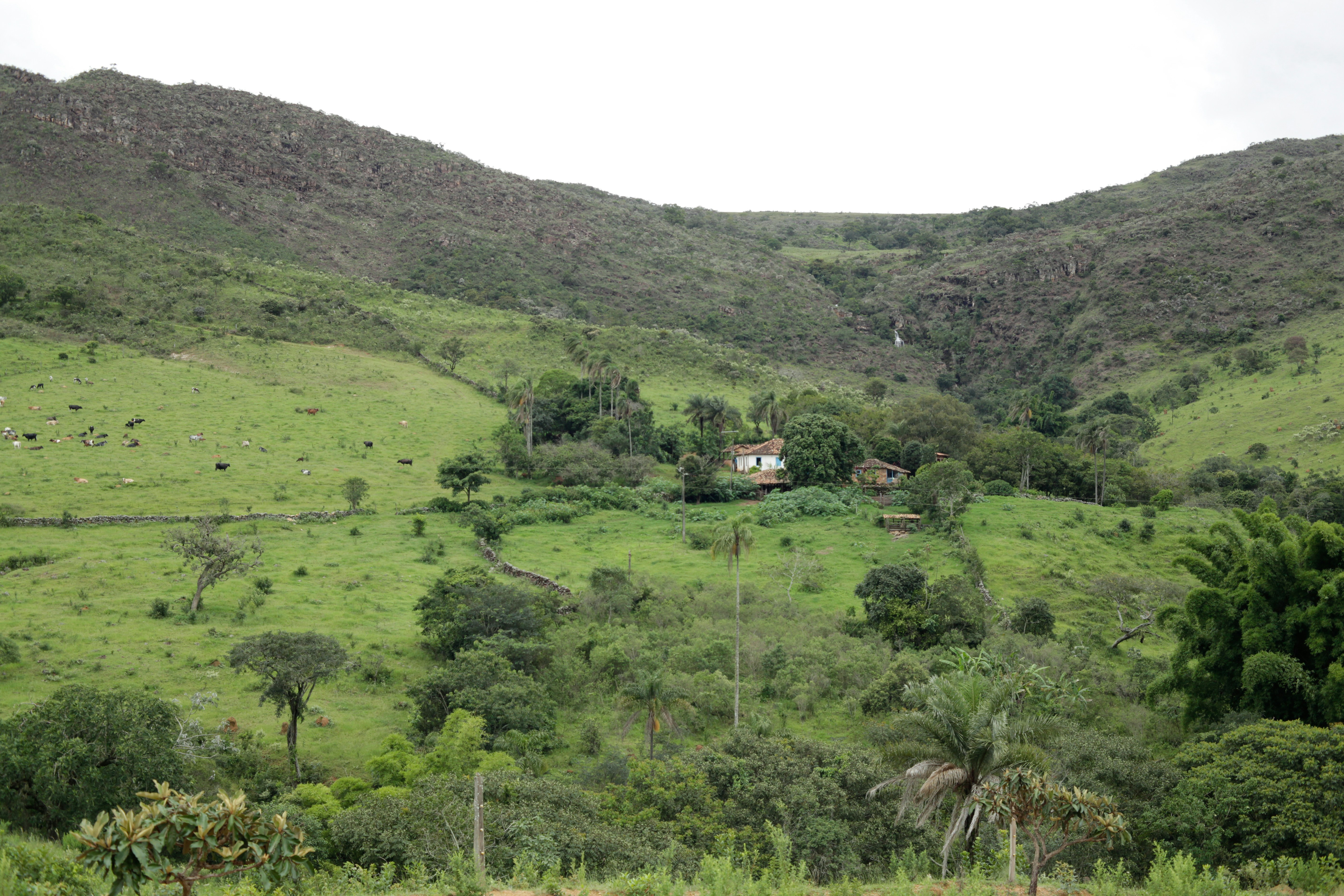 Sítio leiteiro na Serra da Canastra