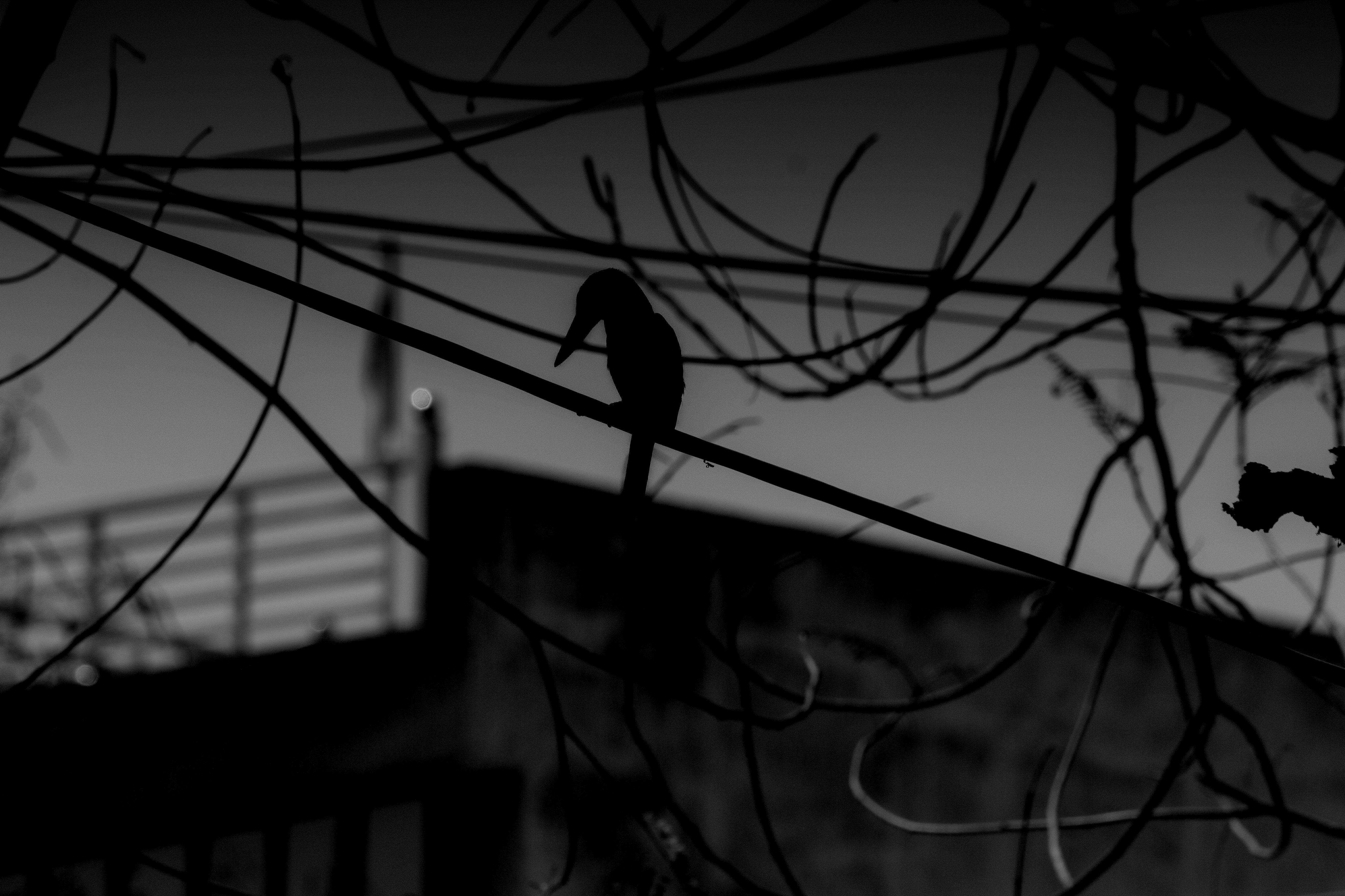 Photo by yehmeracamera