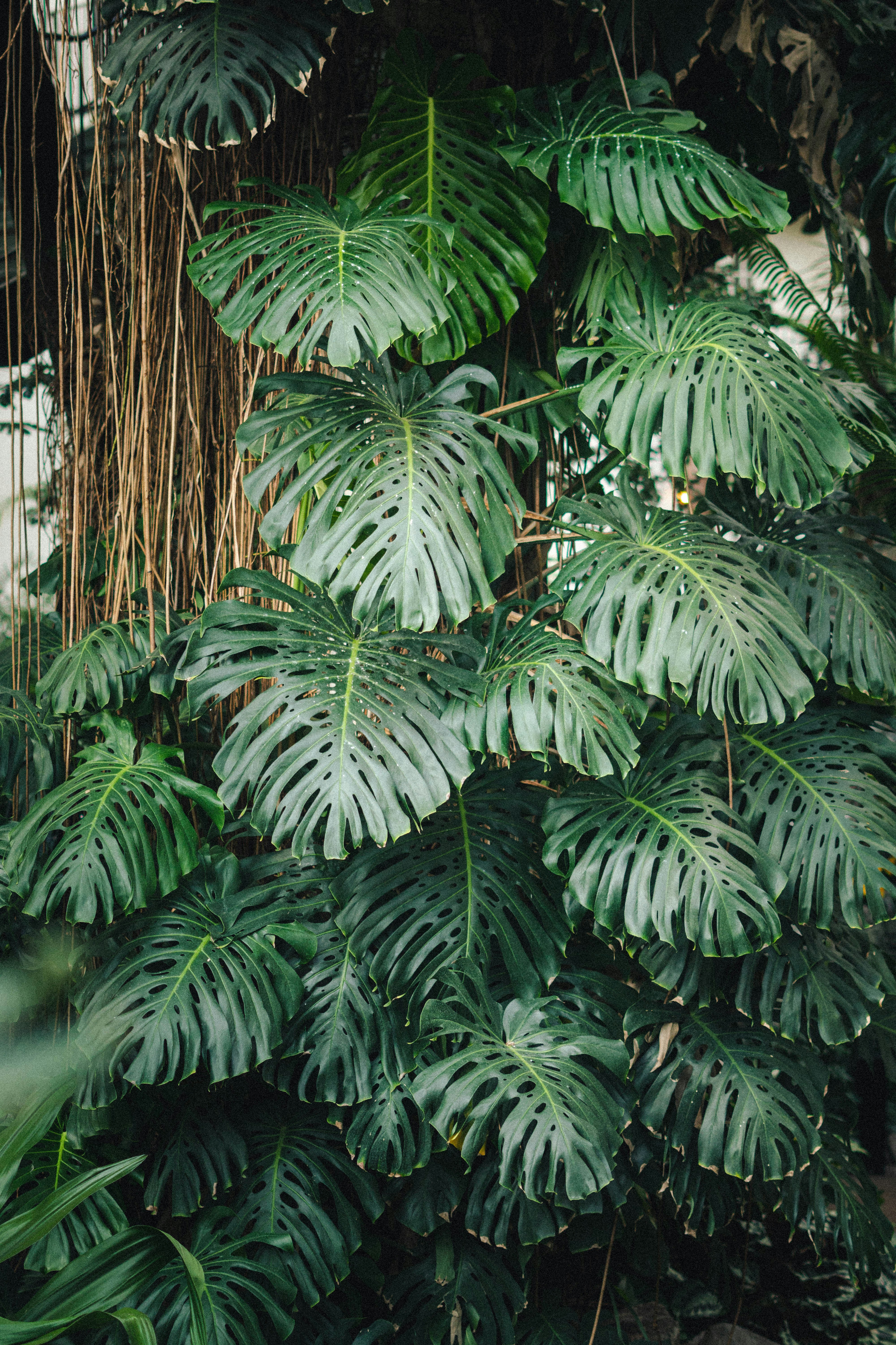 Photo by westhephotographer