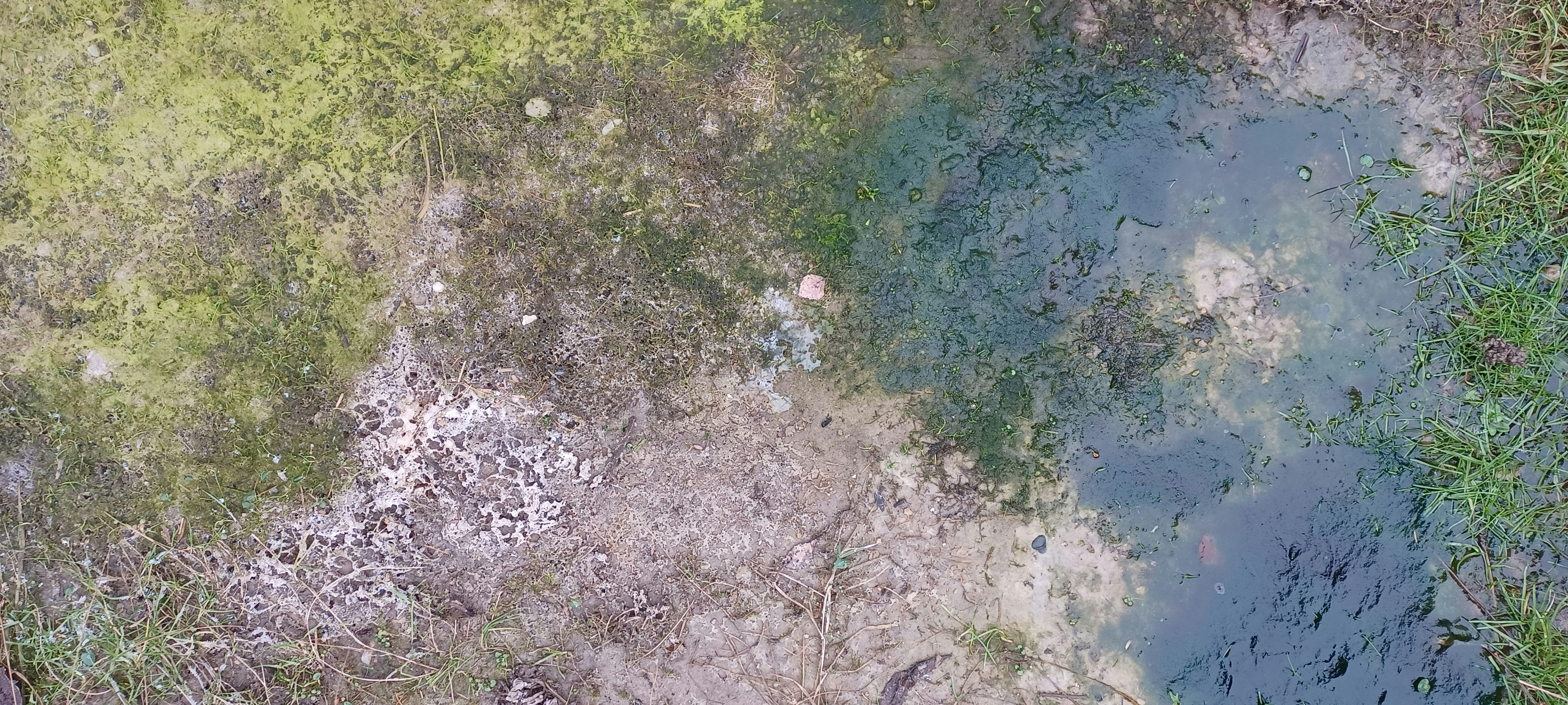 A bird's eye view of a stream in the woods