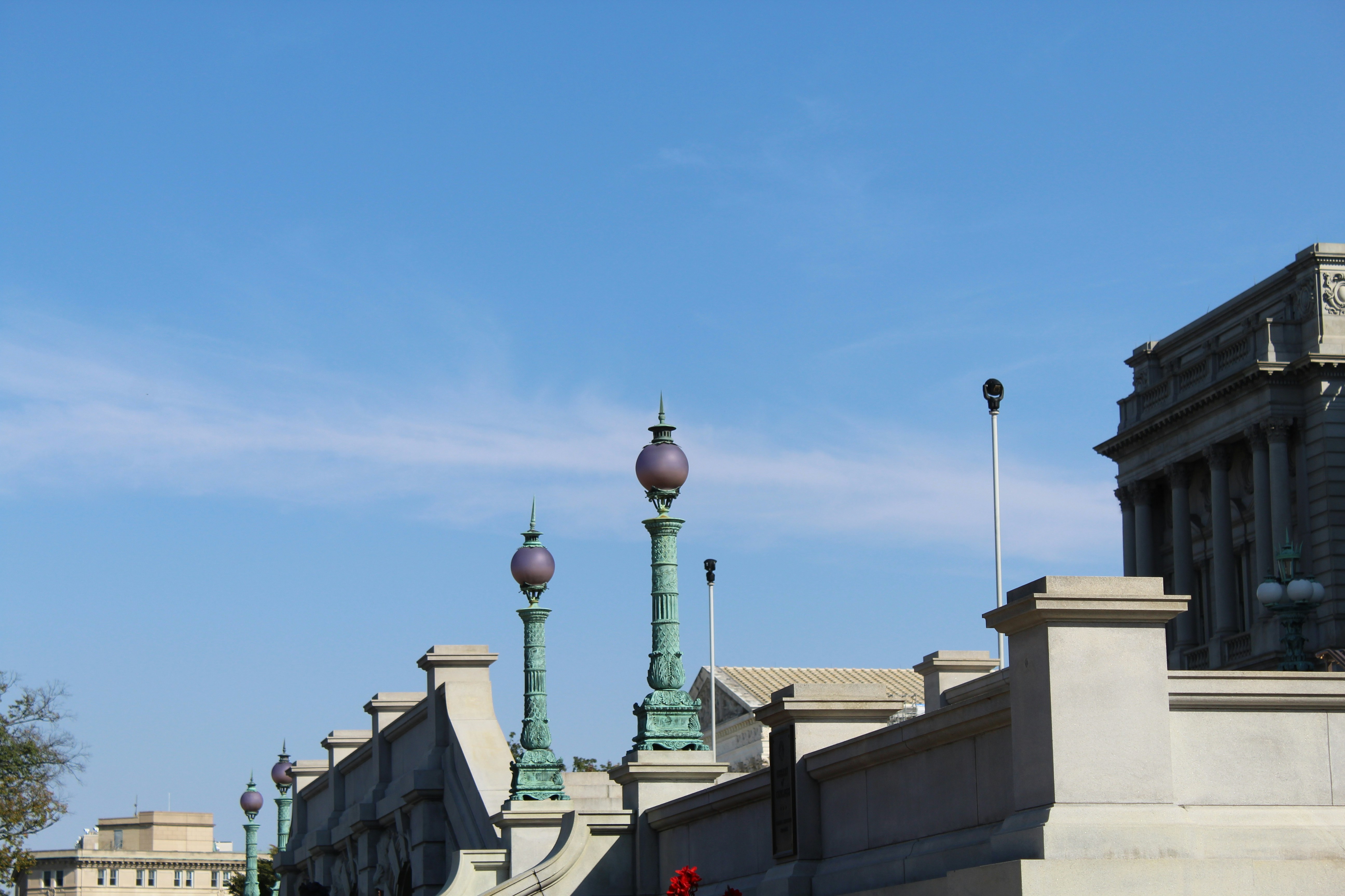 A row of buildings with street lamps on top of them