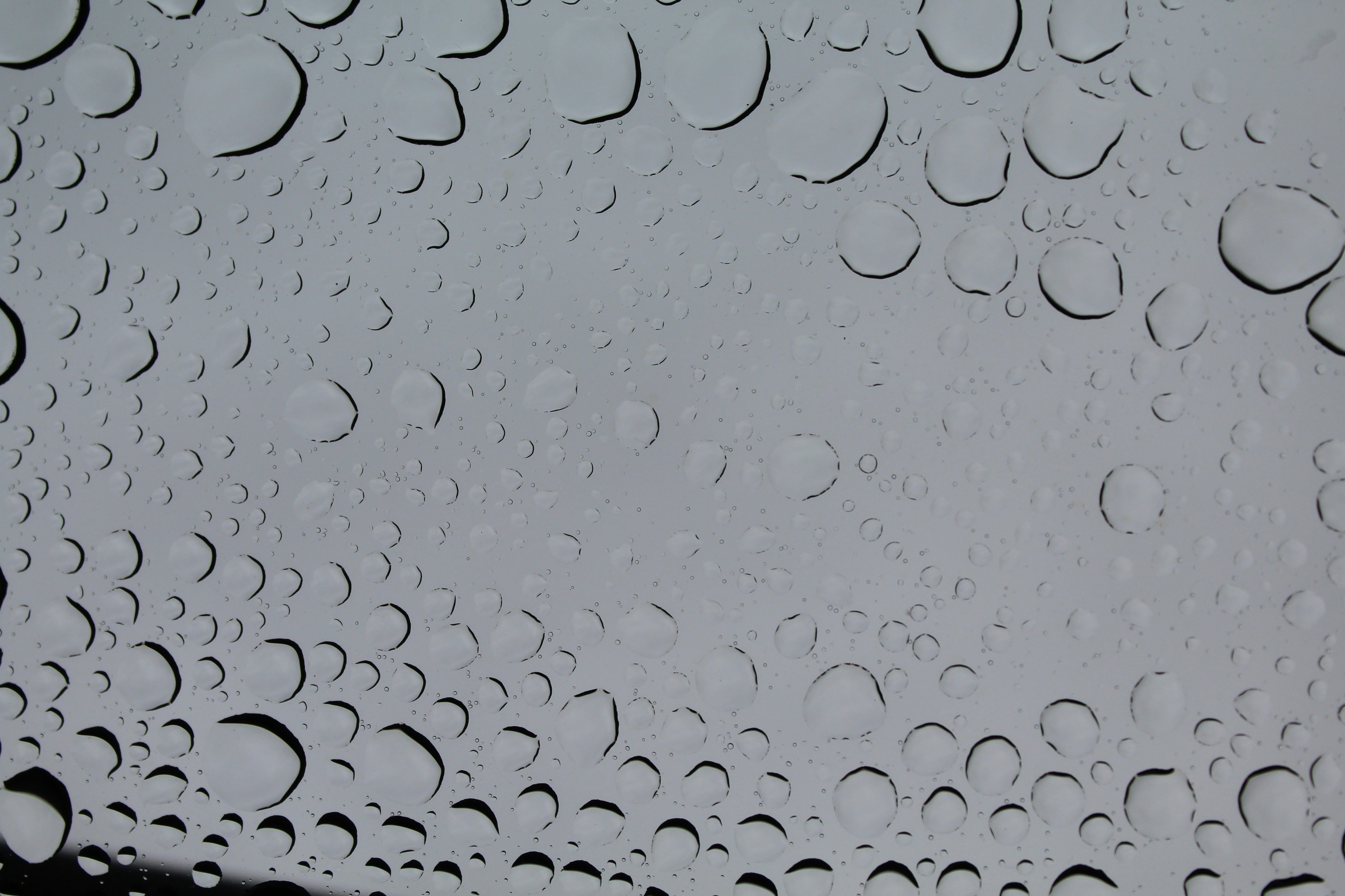 Photo by laura_borman