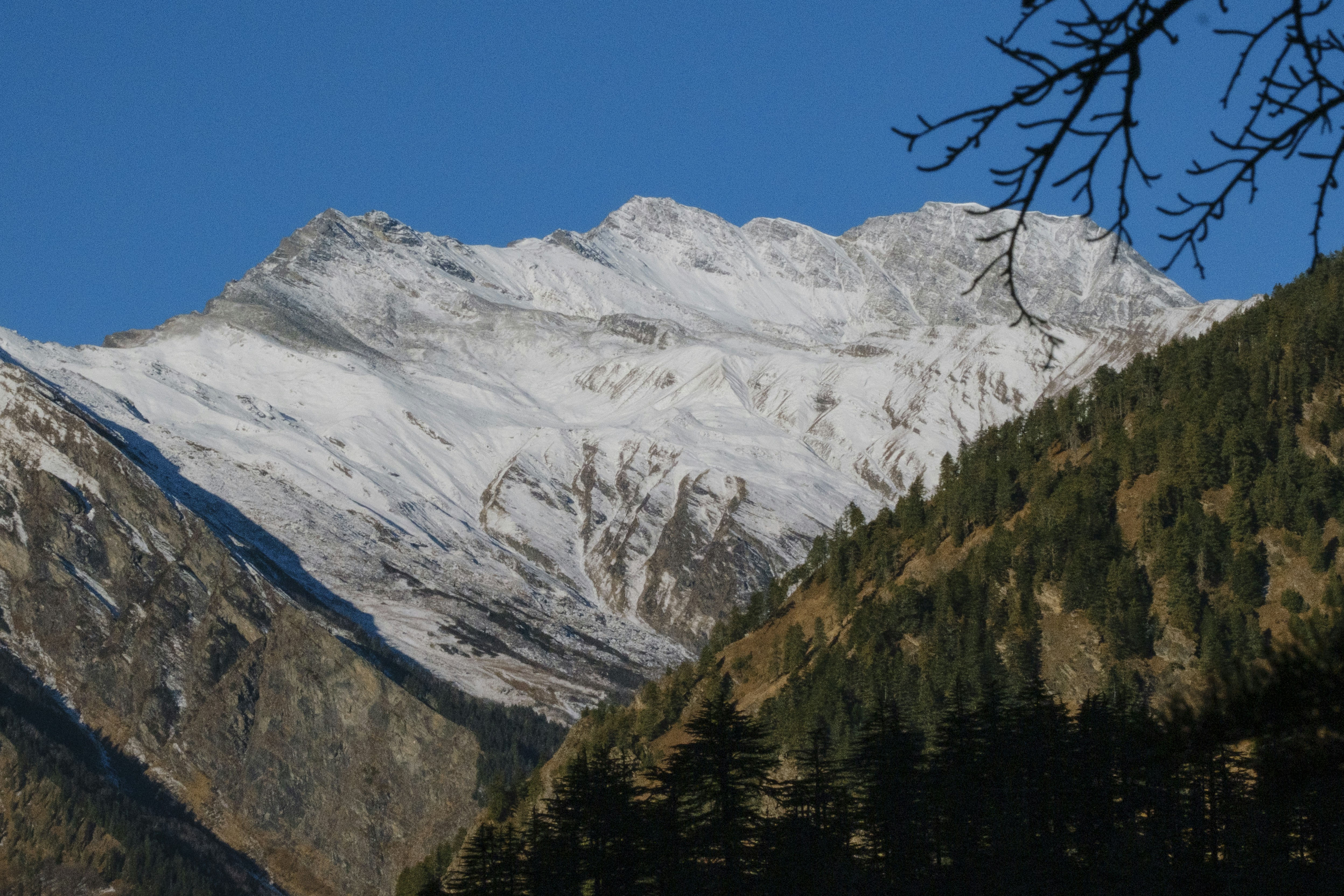 Photo by jaya14shukla