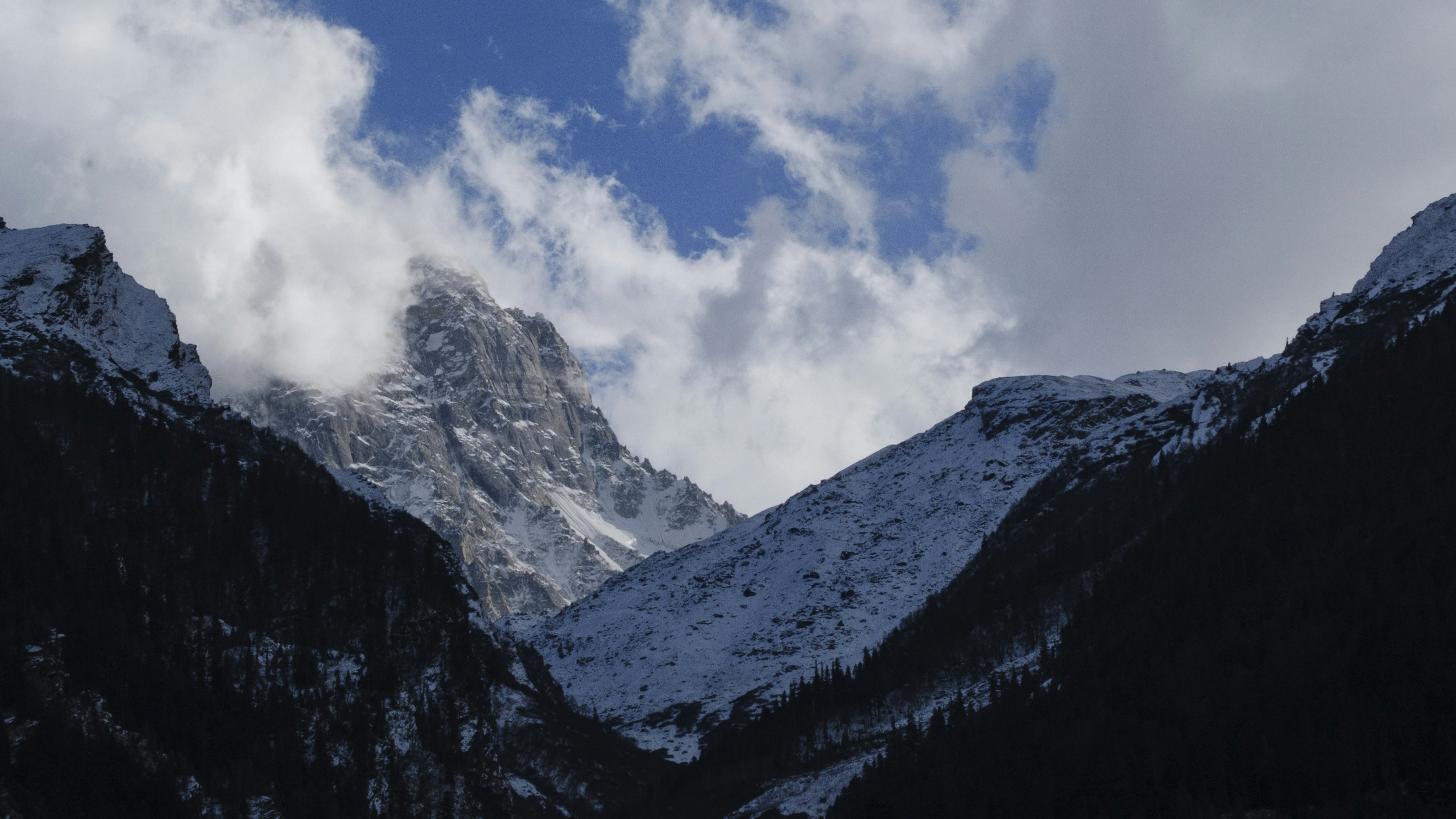 Photo by jaya14shukla