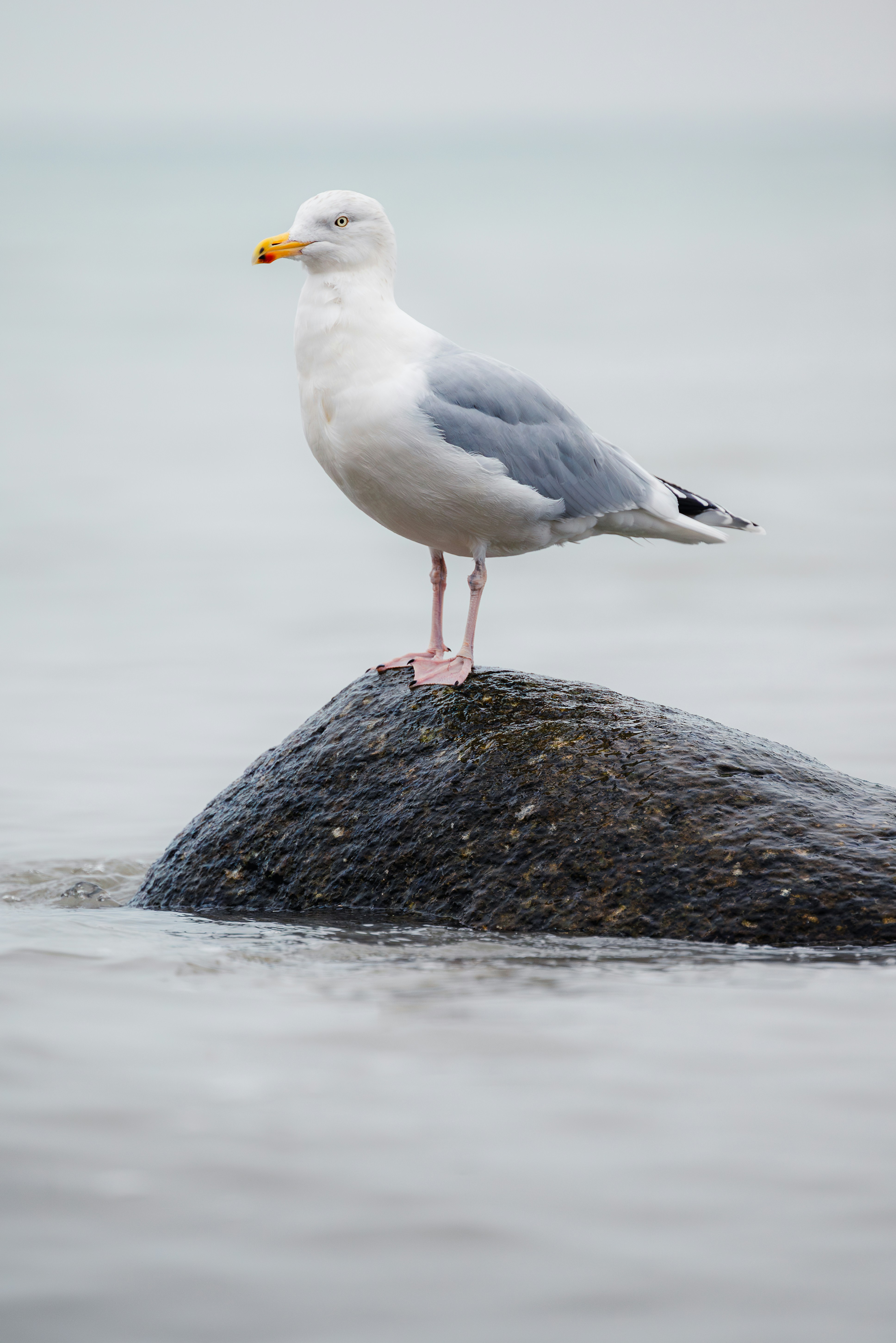 Photo by jetztabertempo