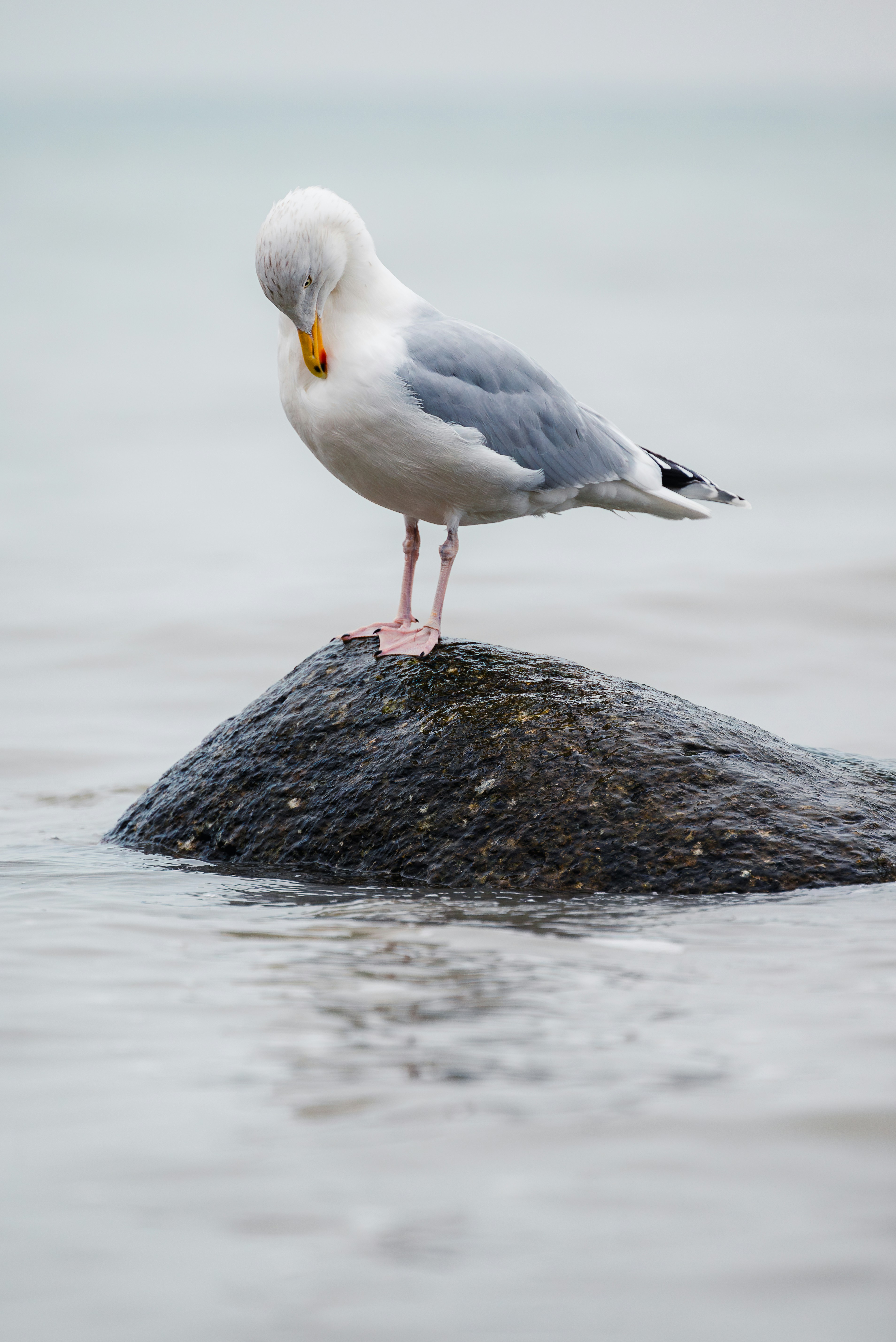 Photo by jetztabertempo