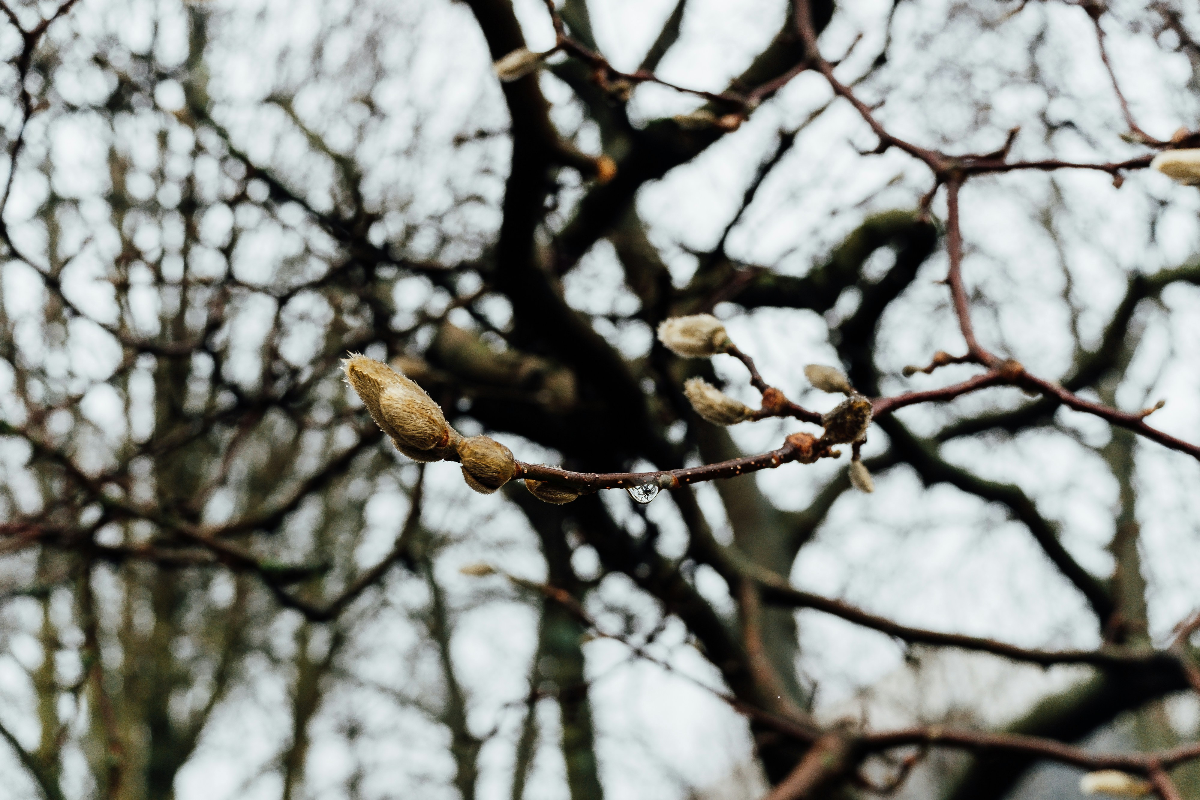 Photo by markuswinkler