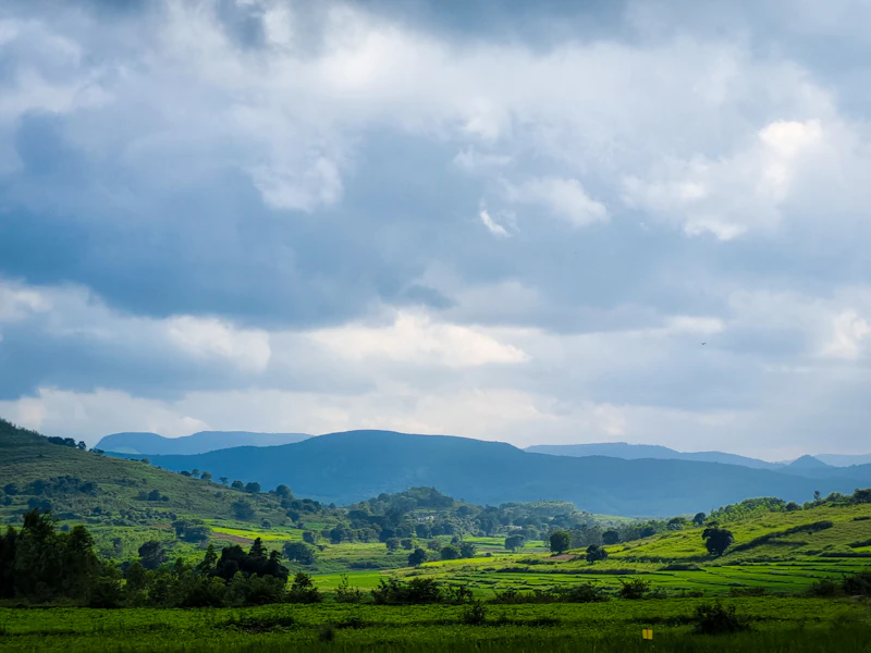 Best Time to Visit Kampot: Month-by-Month Guide for Every Type of Traveller