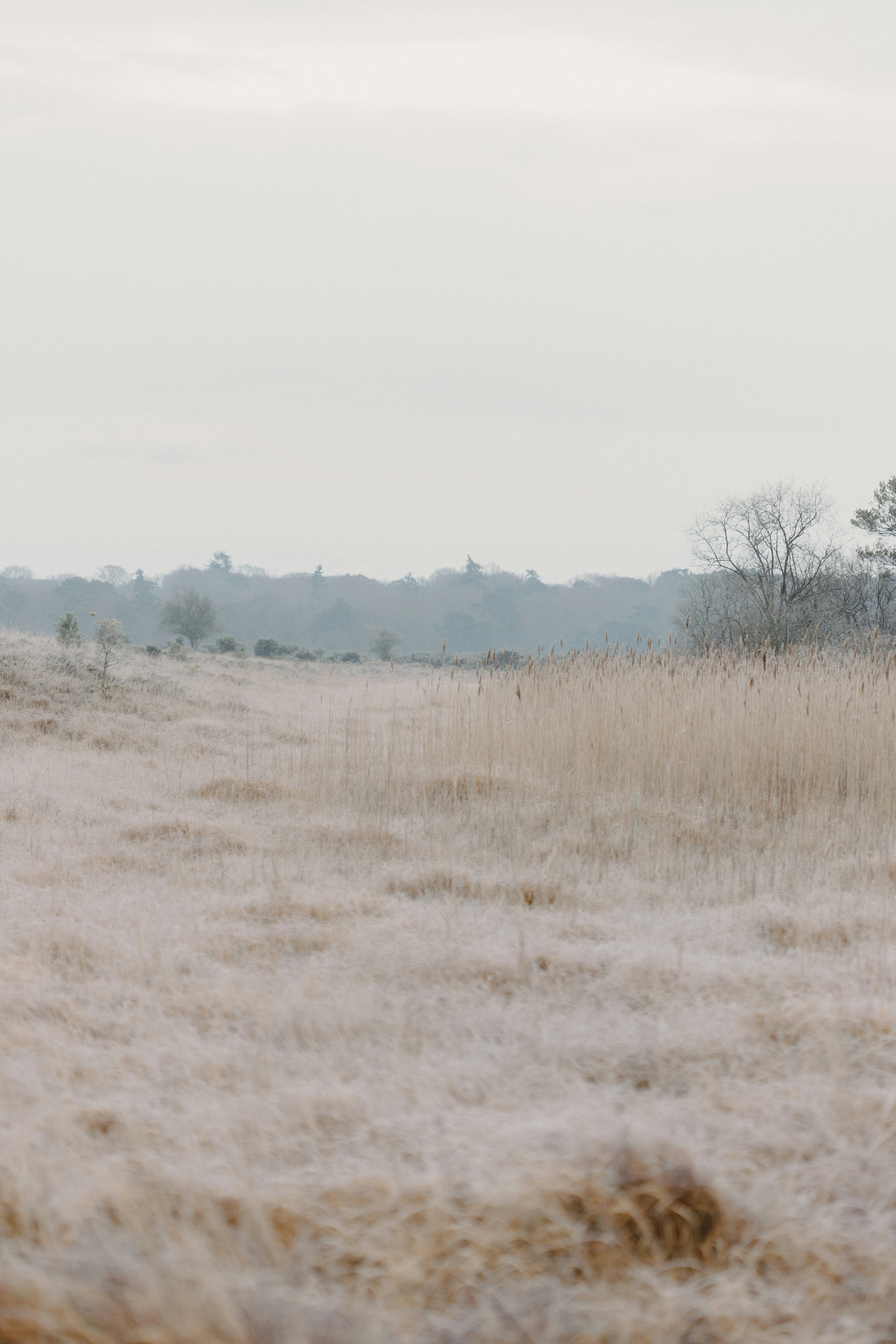 Photo by anniespratt