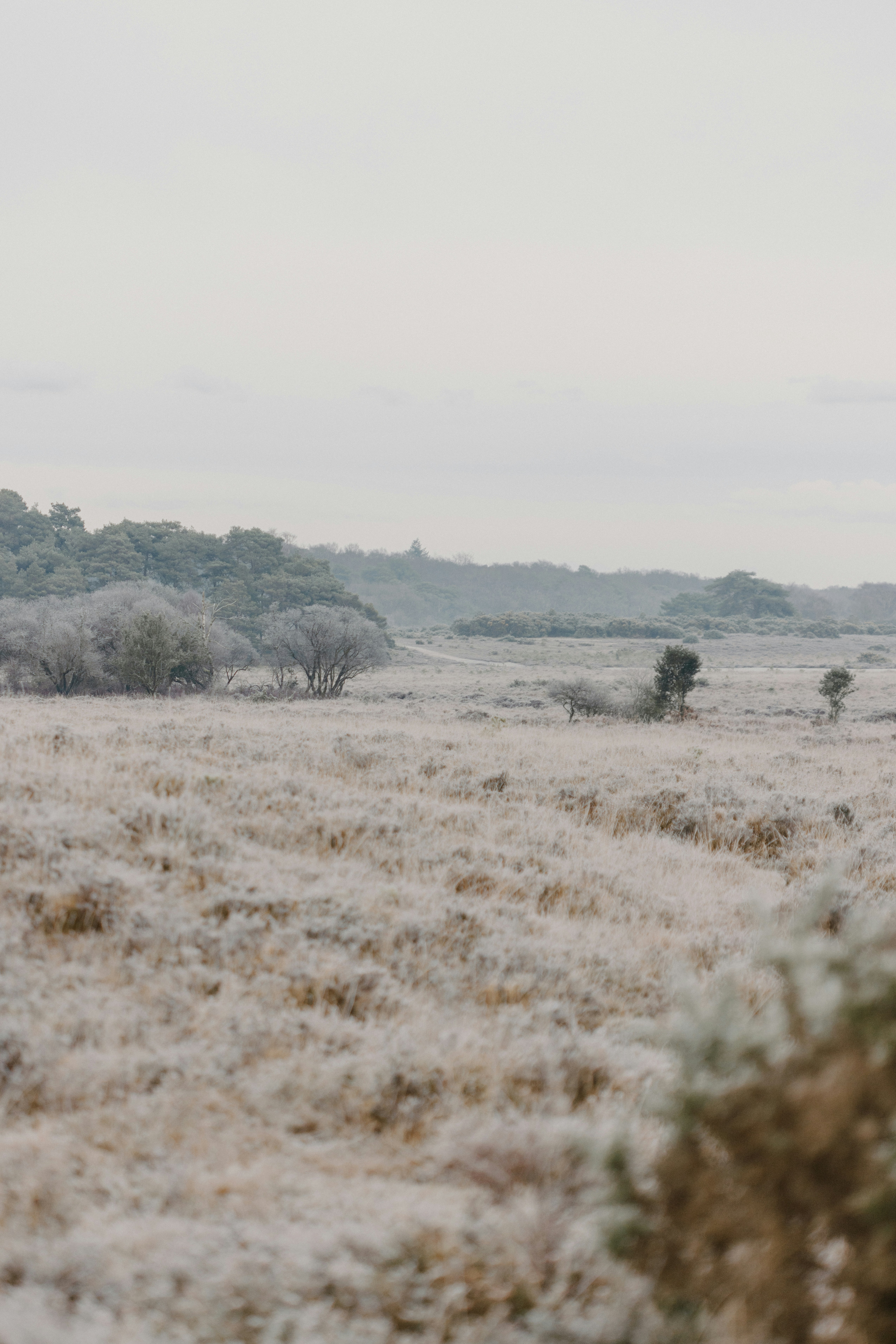 Photo by anniespratt