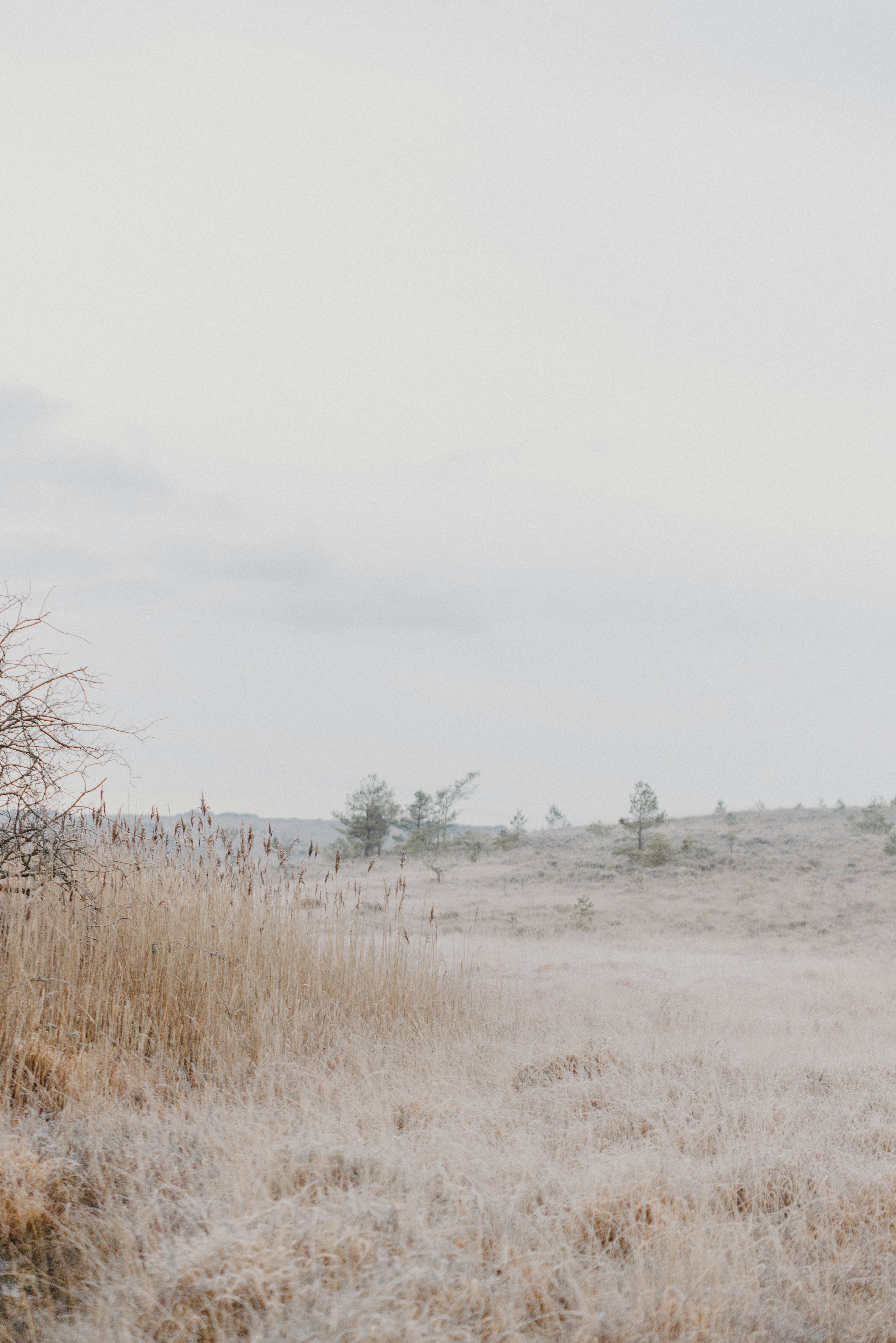 Photo by anniespratt