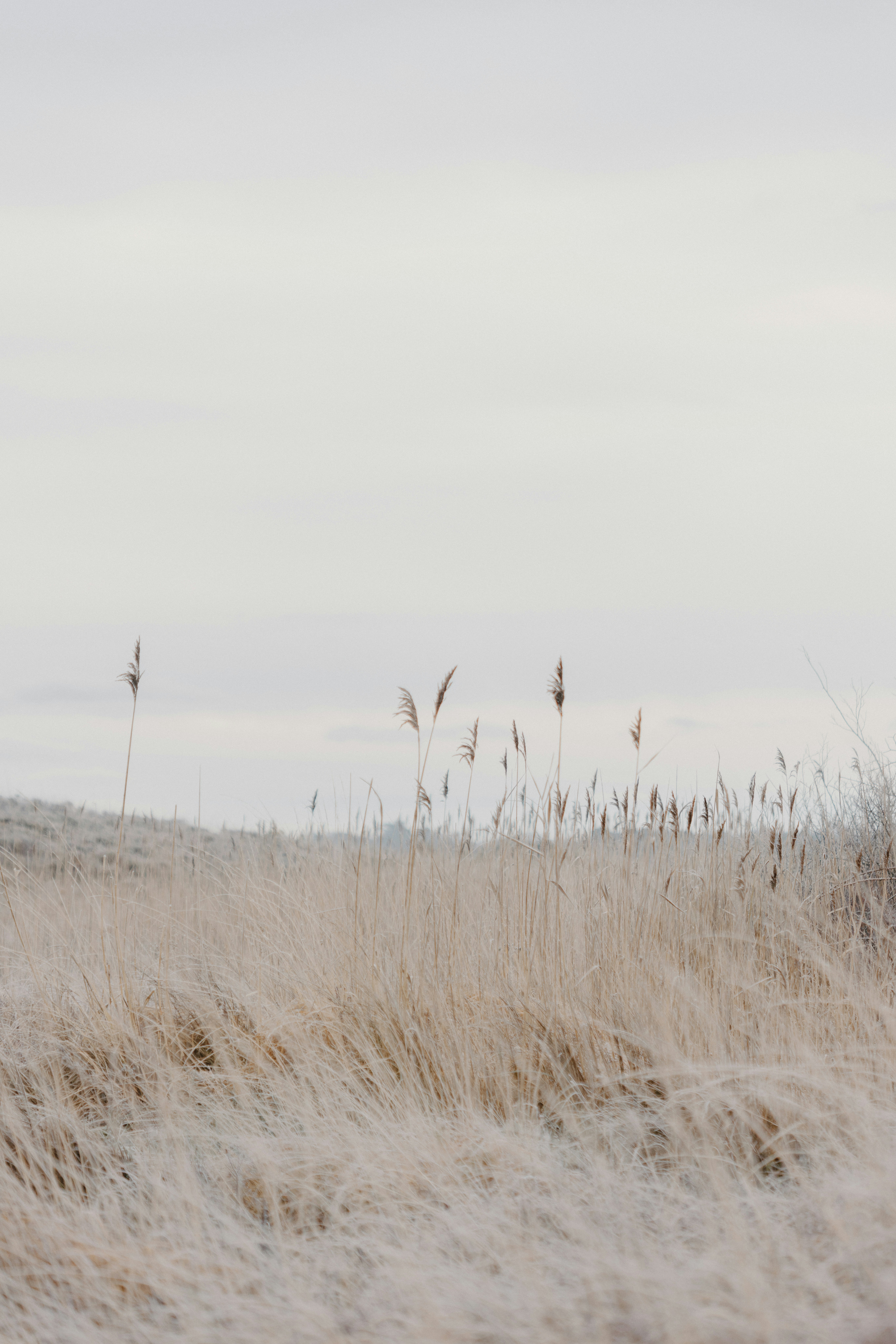 Photo by anniespratt