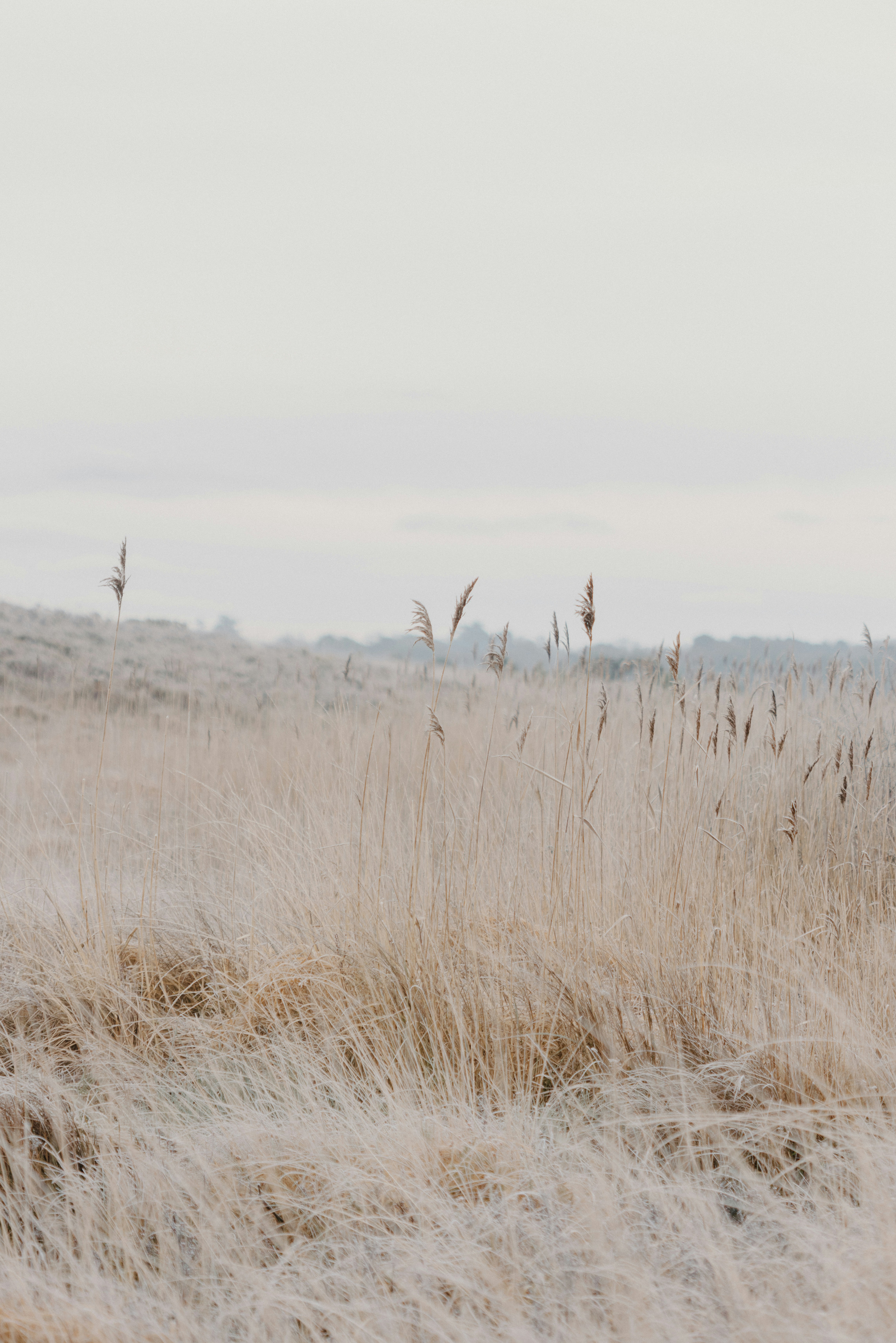 Photo by anniespratt