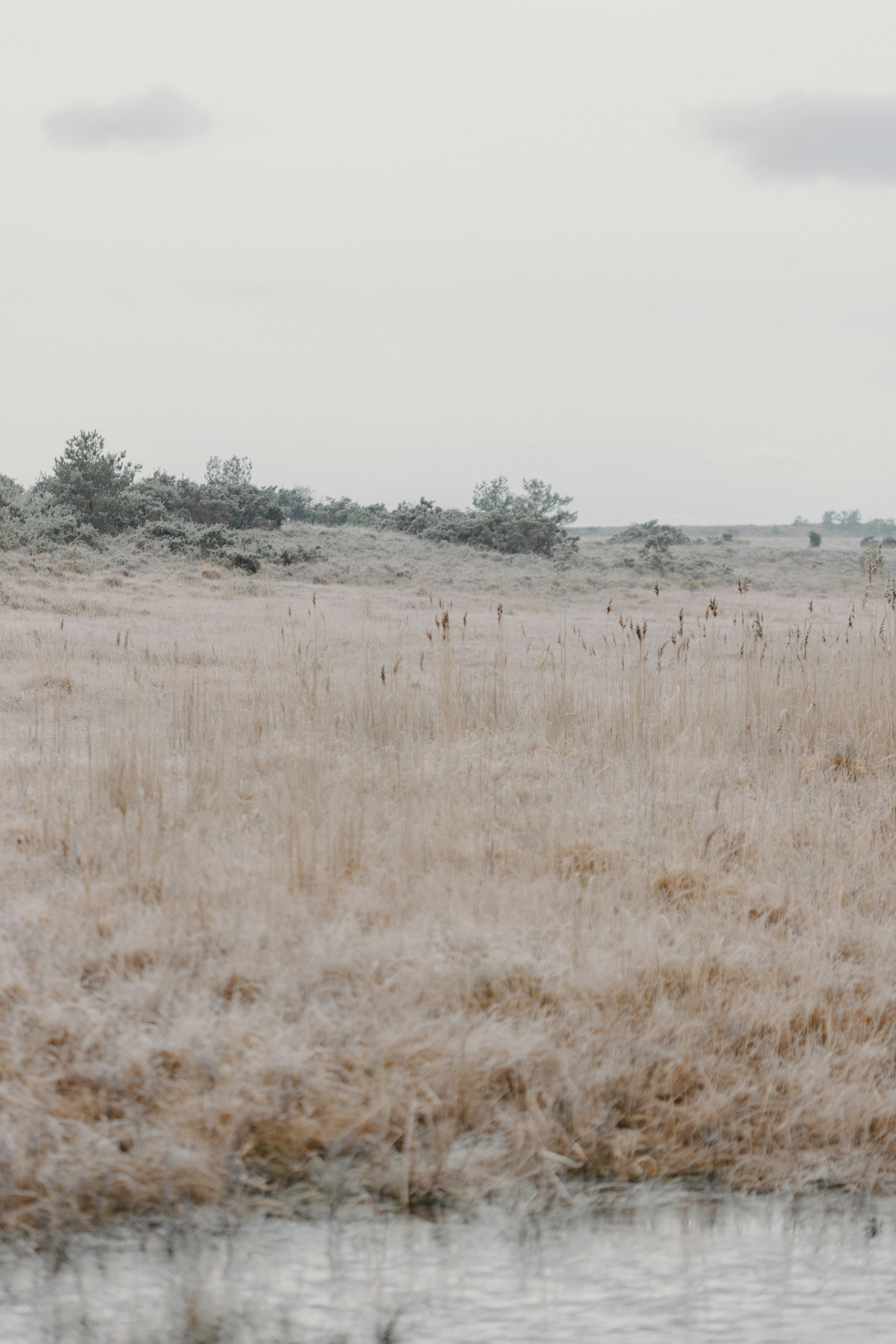 Photo by anniespratt