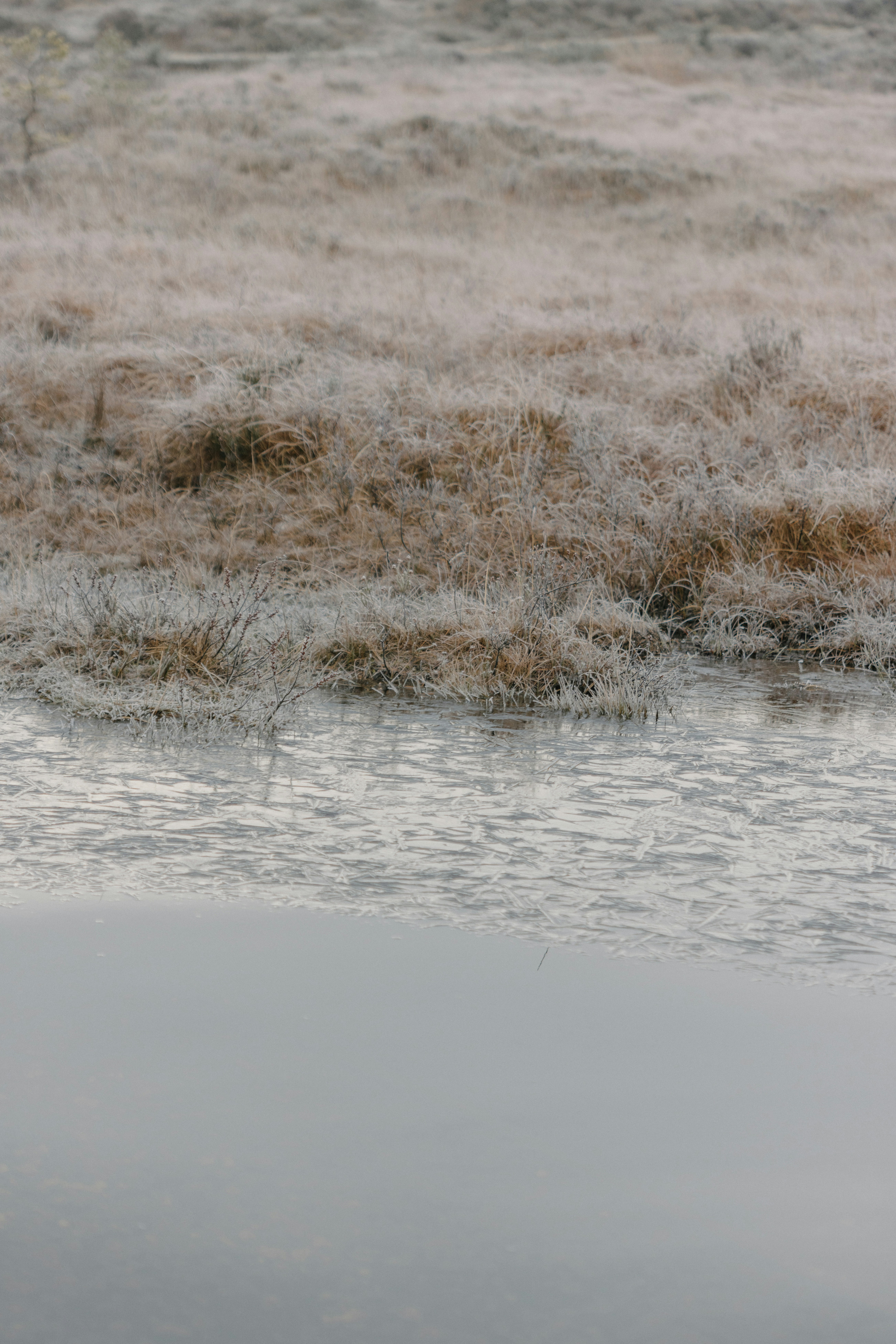 Photo by anniespratt