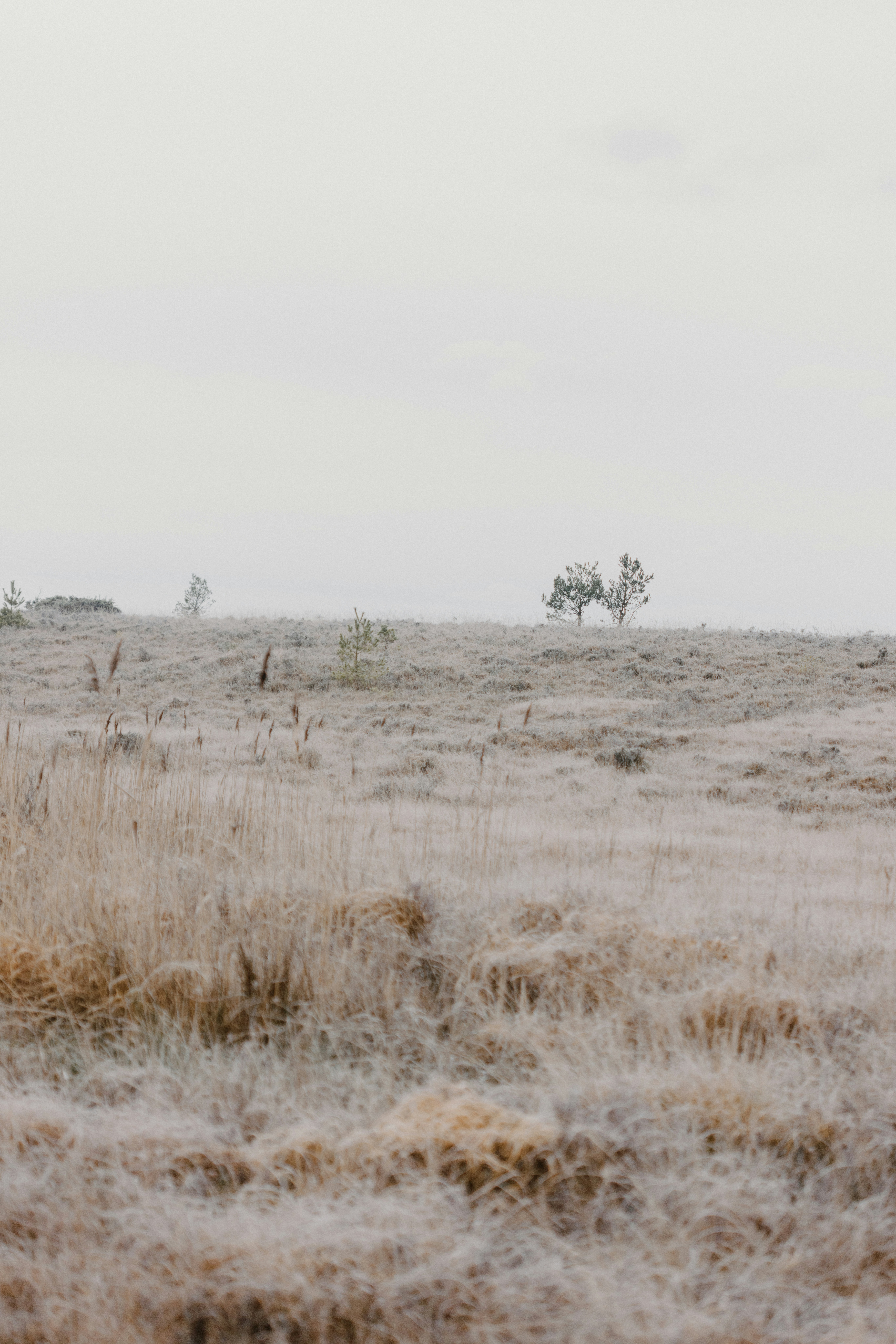 Photo by anniespratt