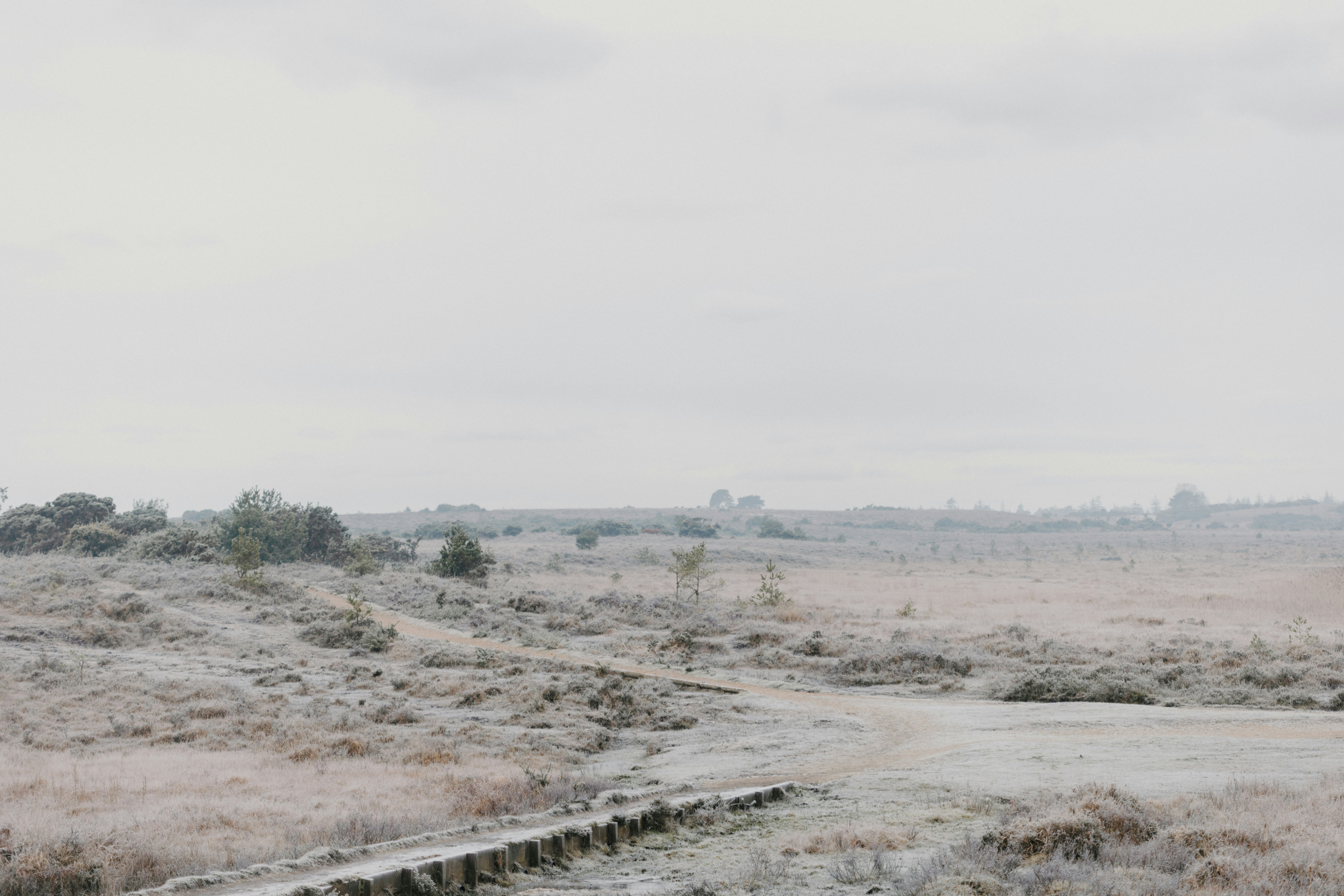 Photo by anniespratt