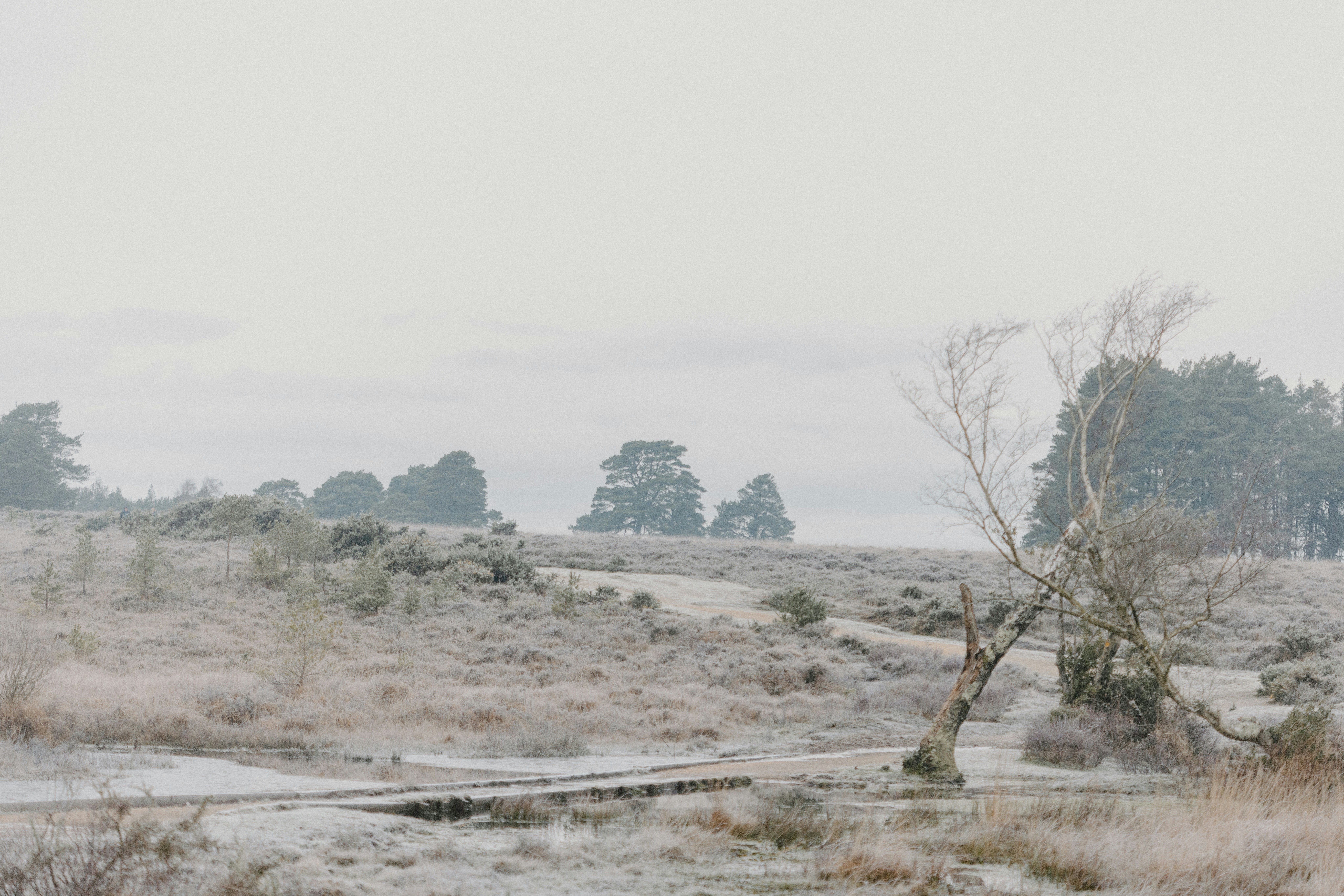 Photo by anniespratt