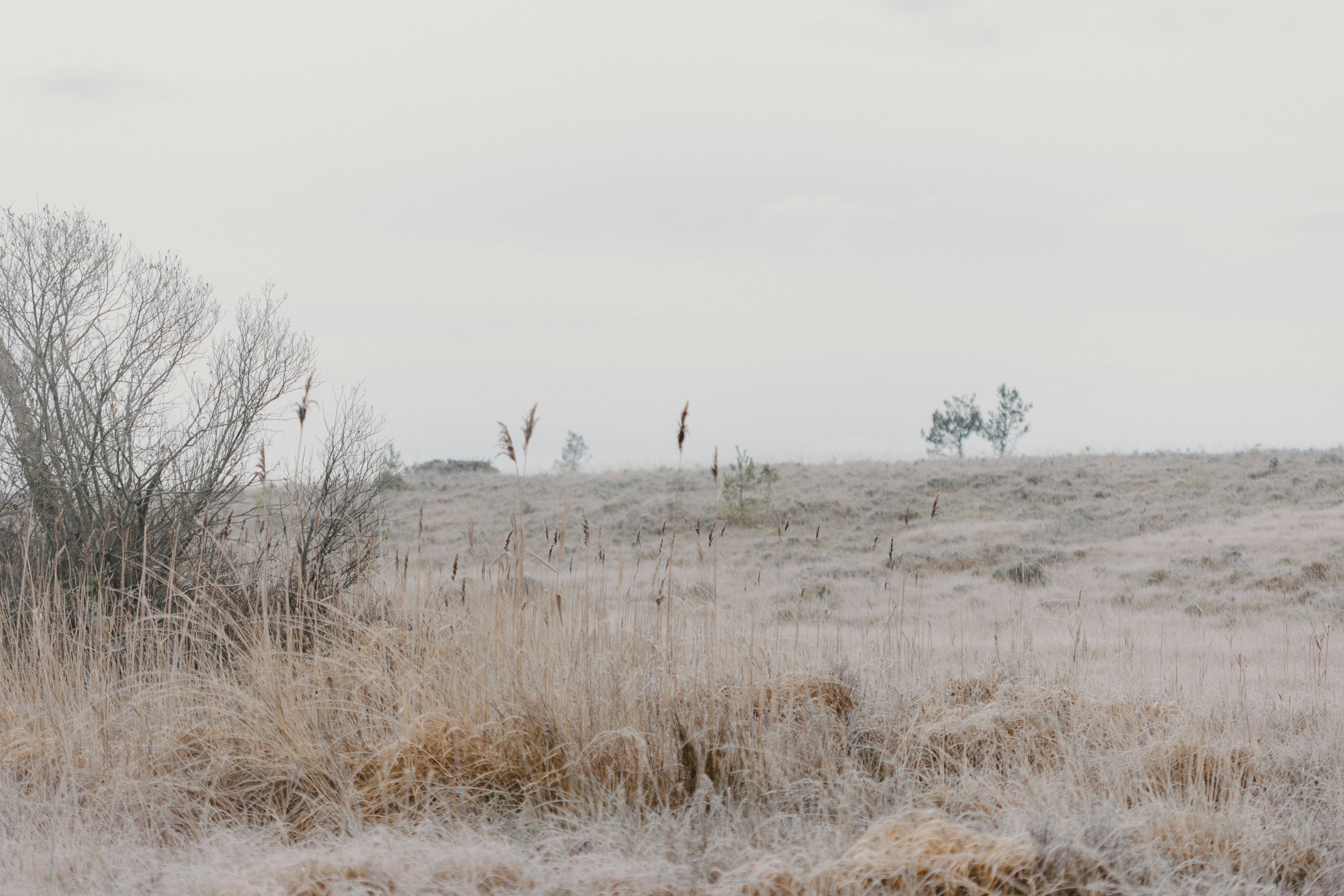 Photo by anniespratt