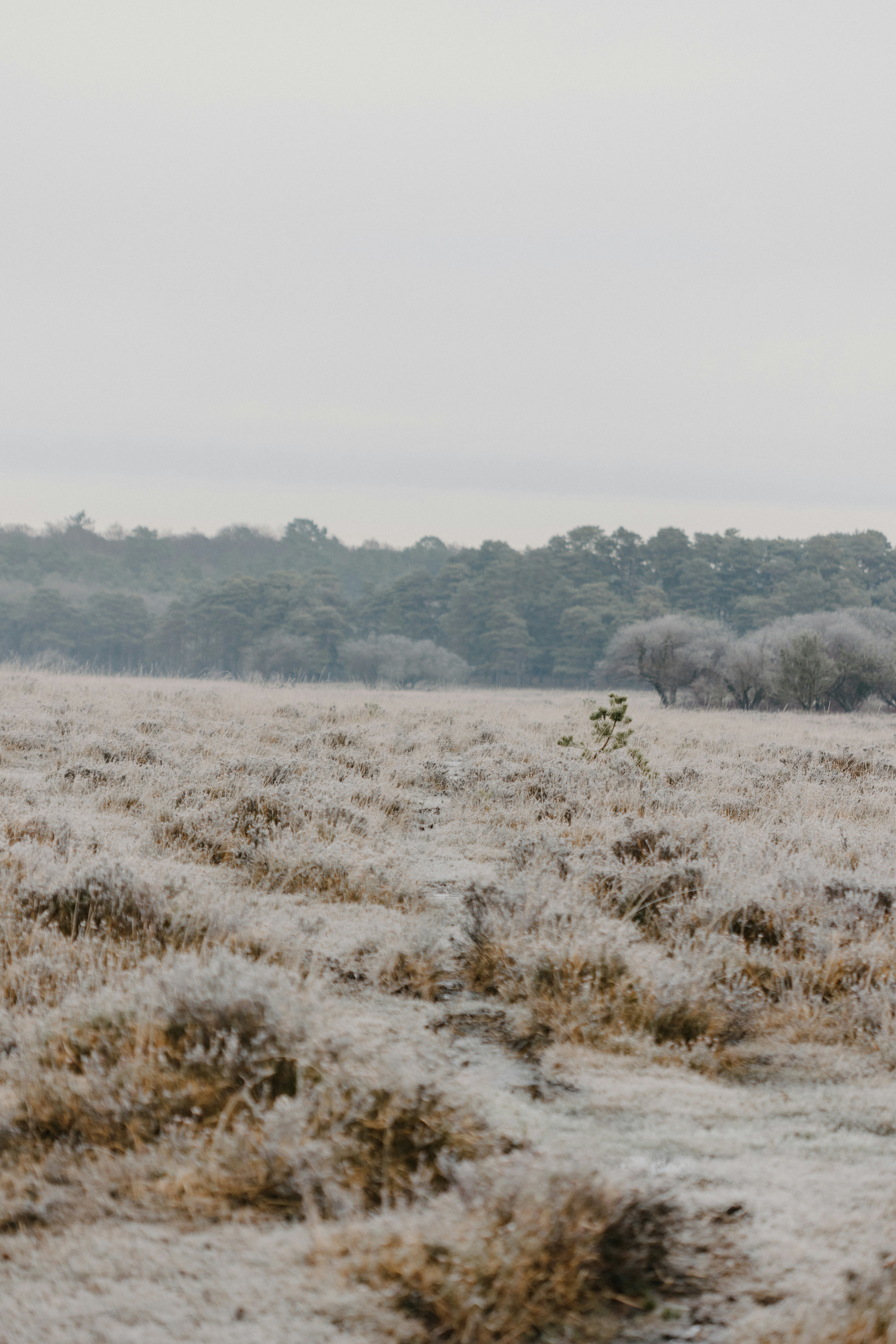 Photo by anniespratt