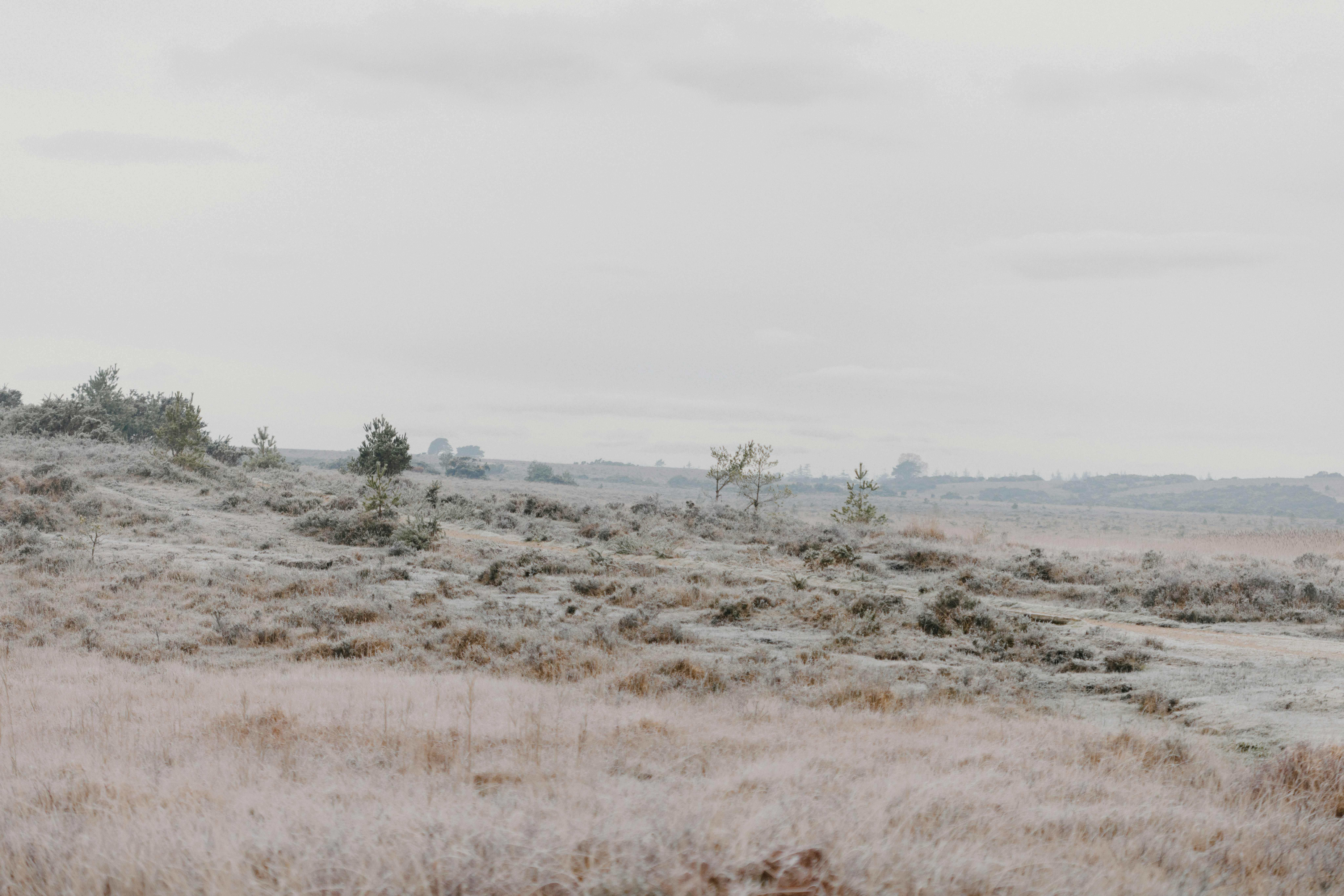 Photo by anniespratt