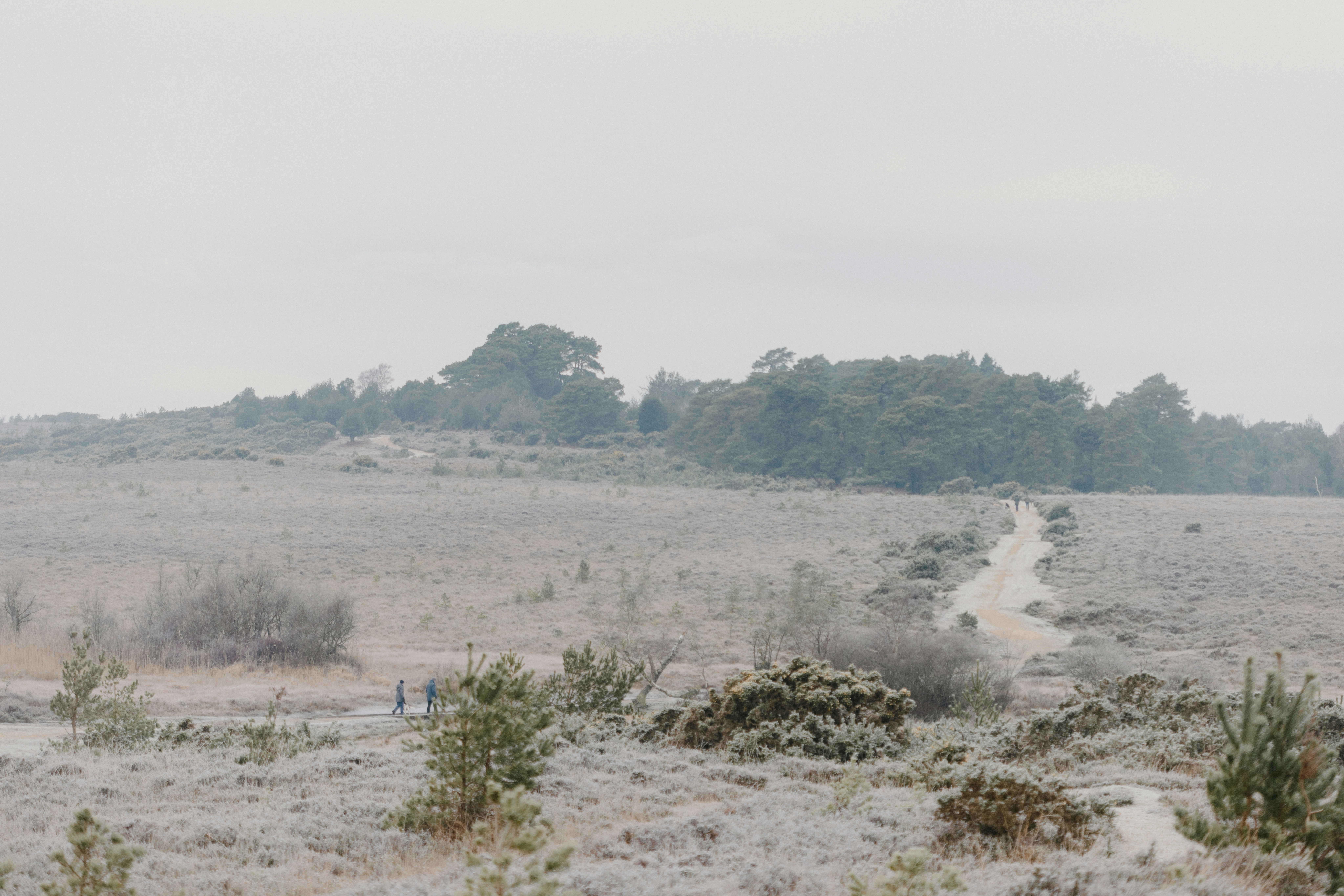 Photo by anniespratt