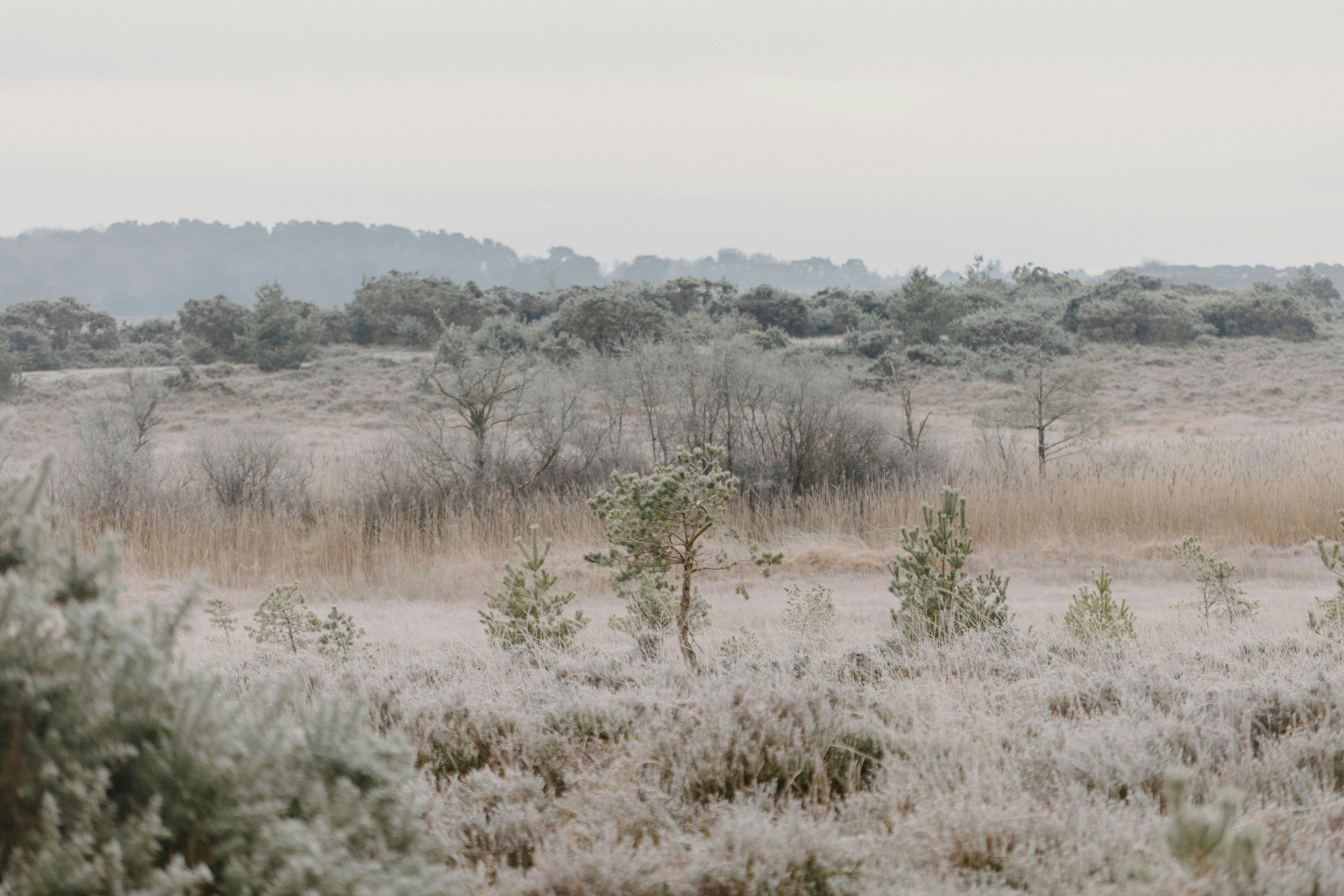 Photo by anniespratt