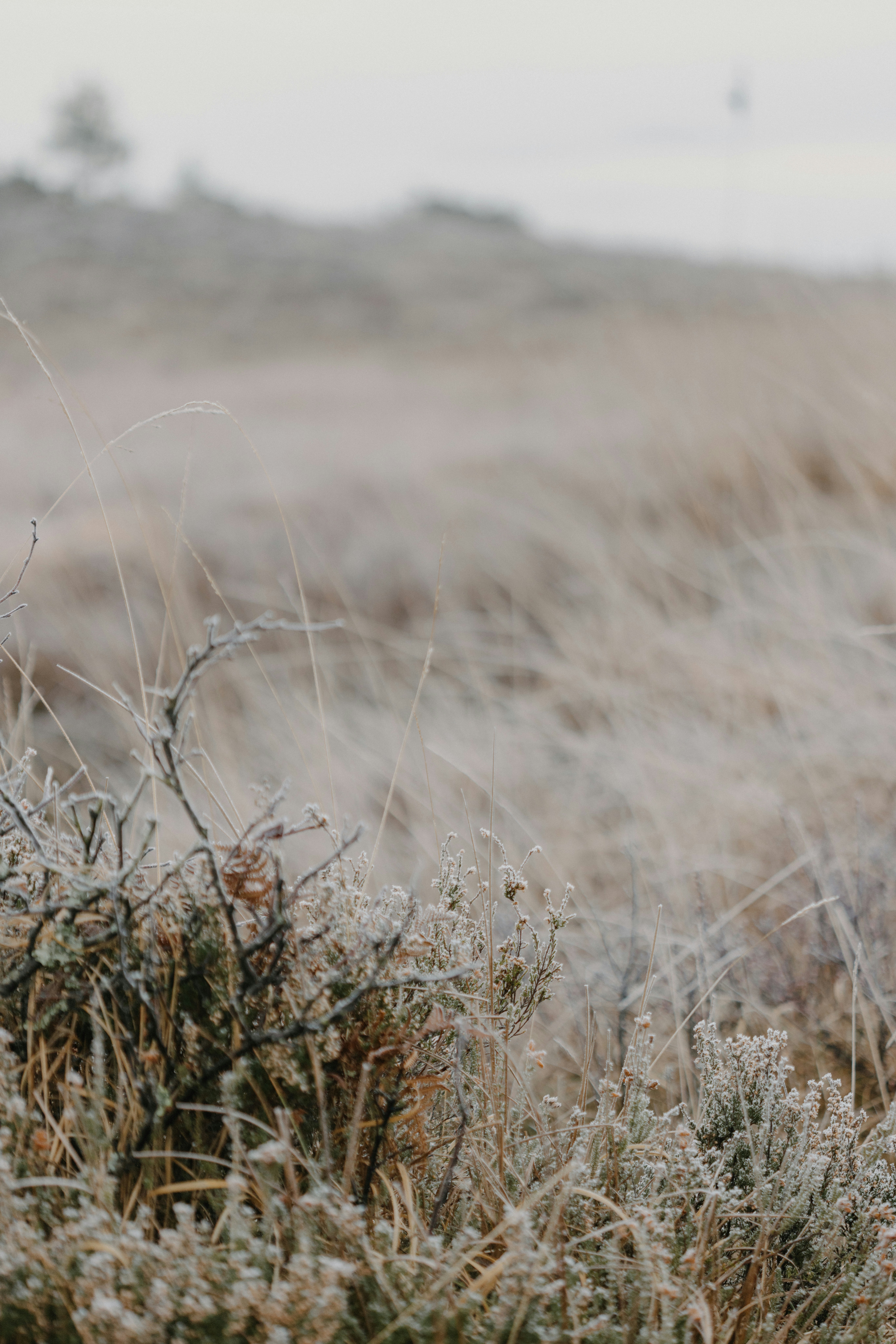 Photo by anniespratt