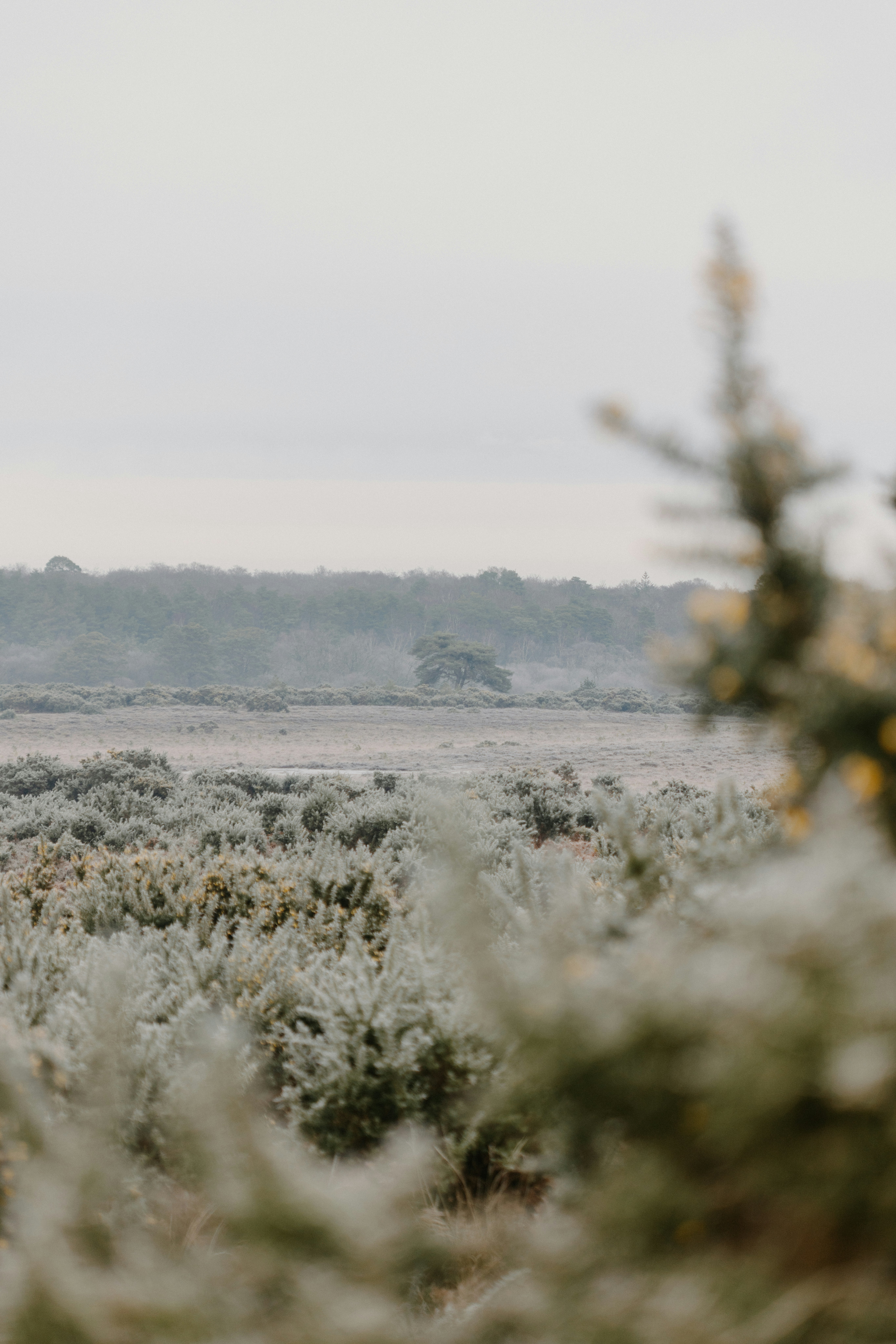 Photo by anniespratt