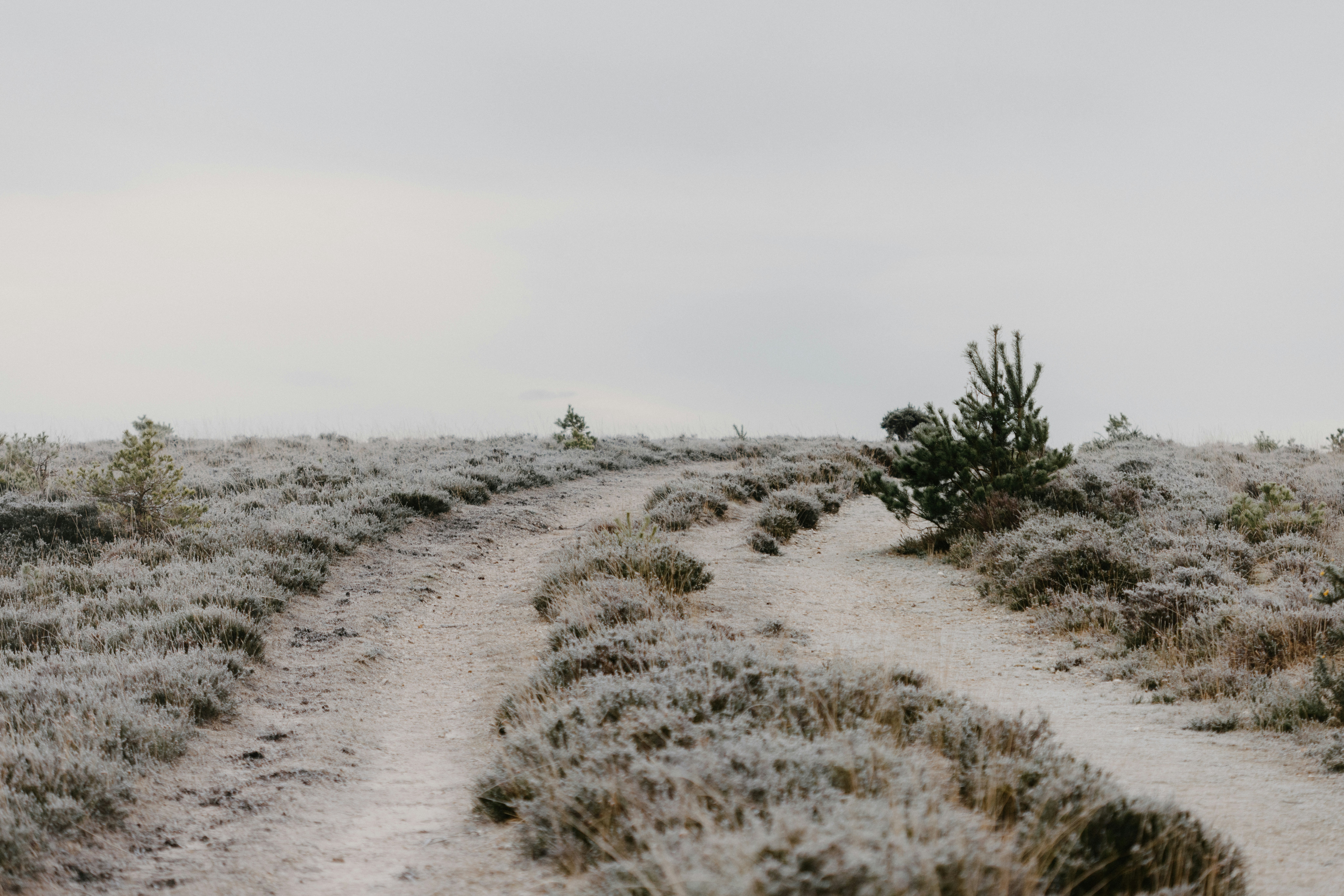 Photo by anniespratt