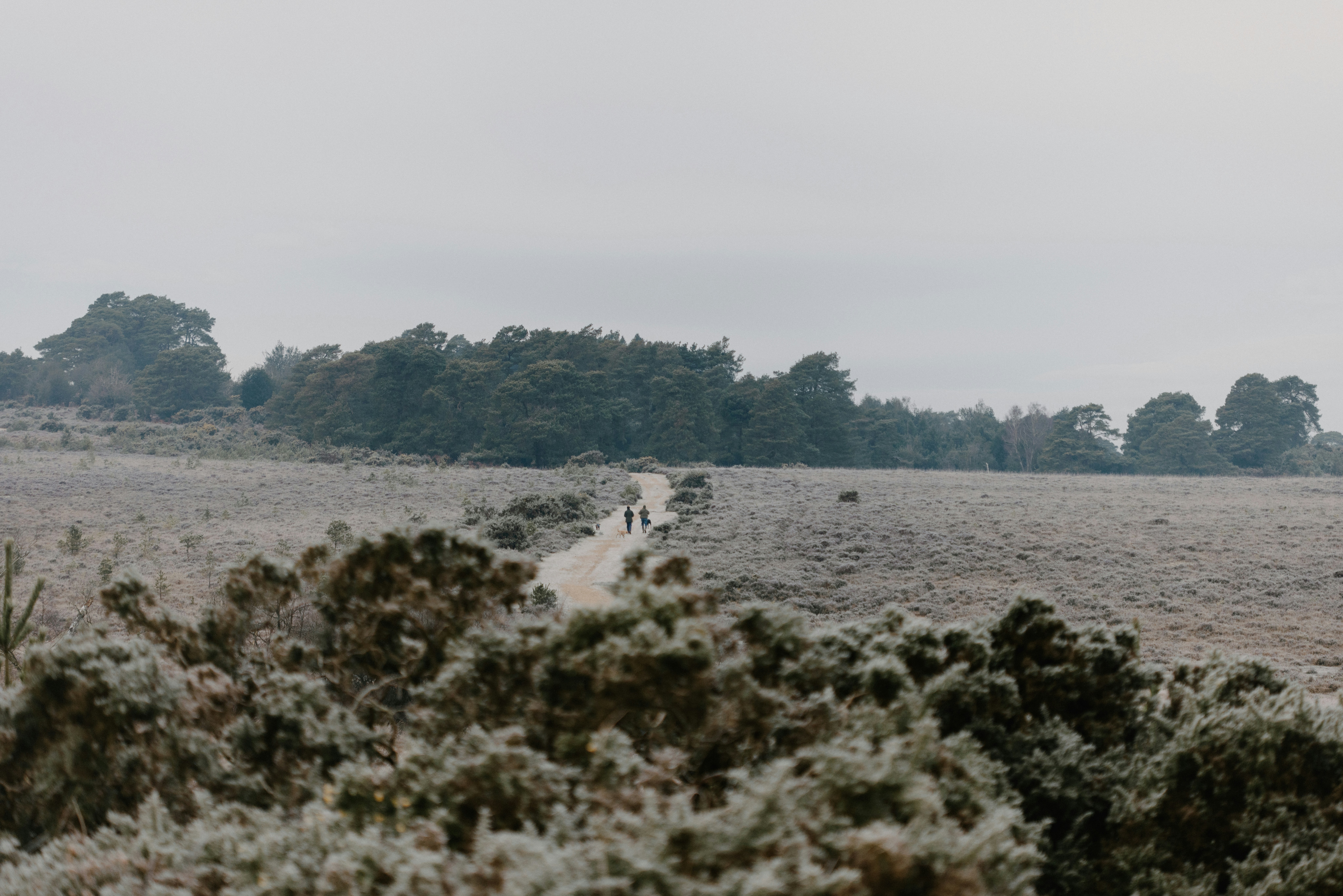 Photo by anniespratt
