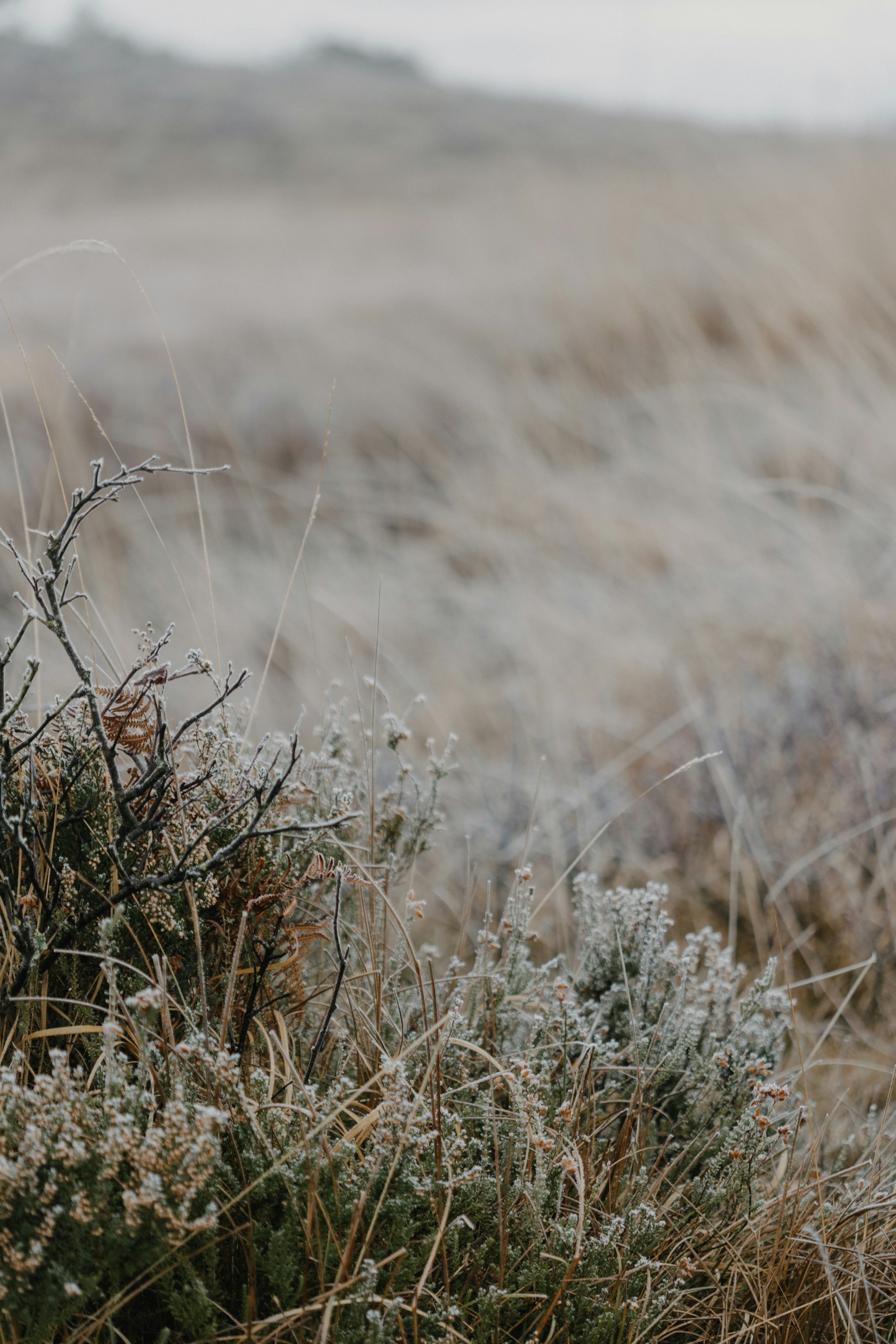 Photo by anniespratt