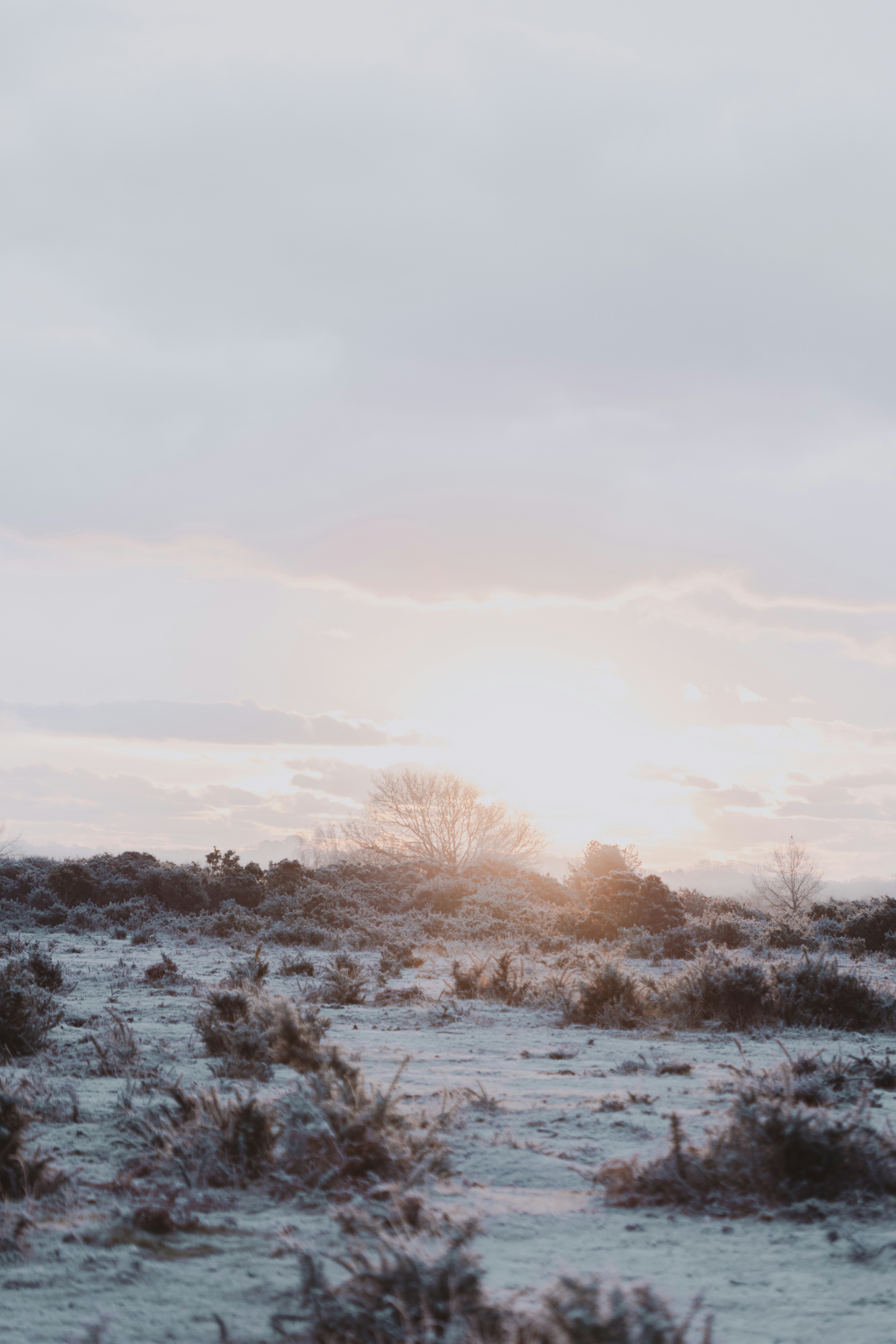 Photo by anniespratt