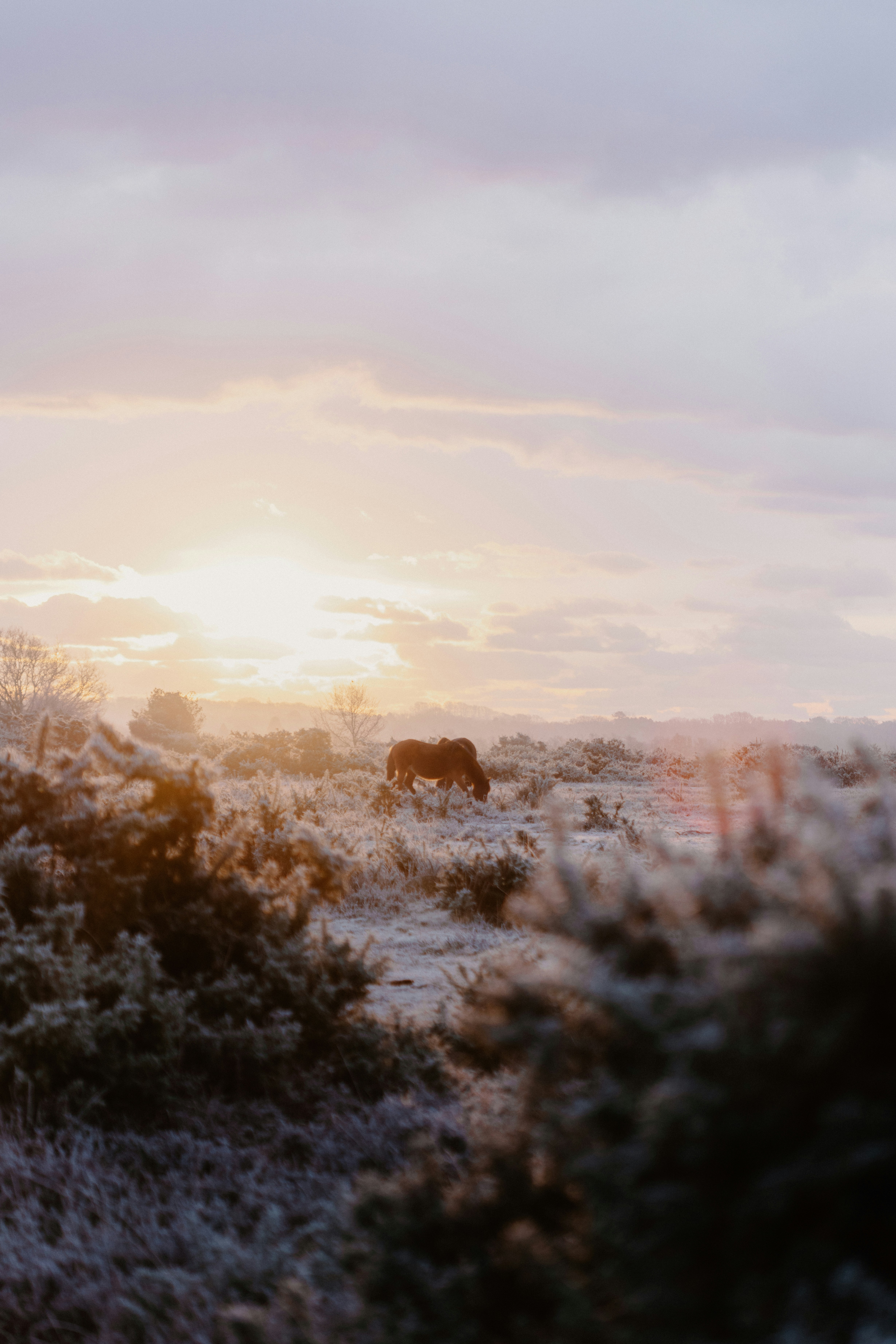 Photo by anniespratt