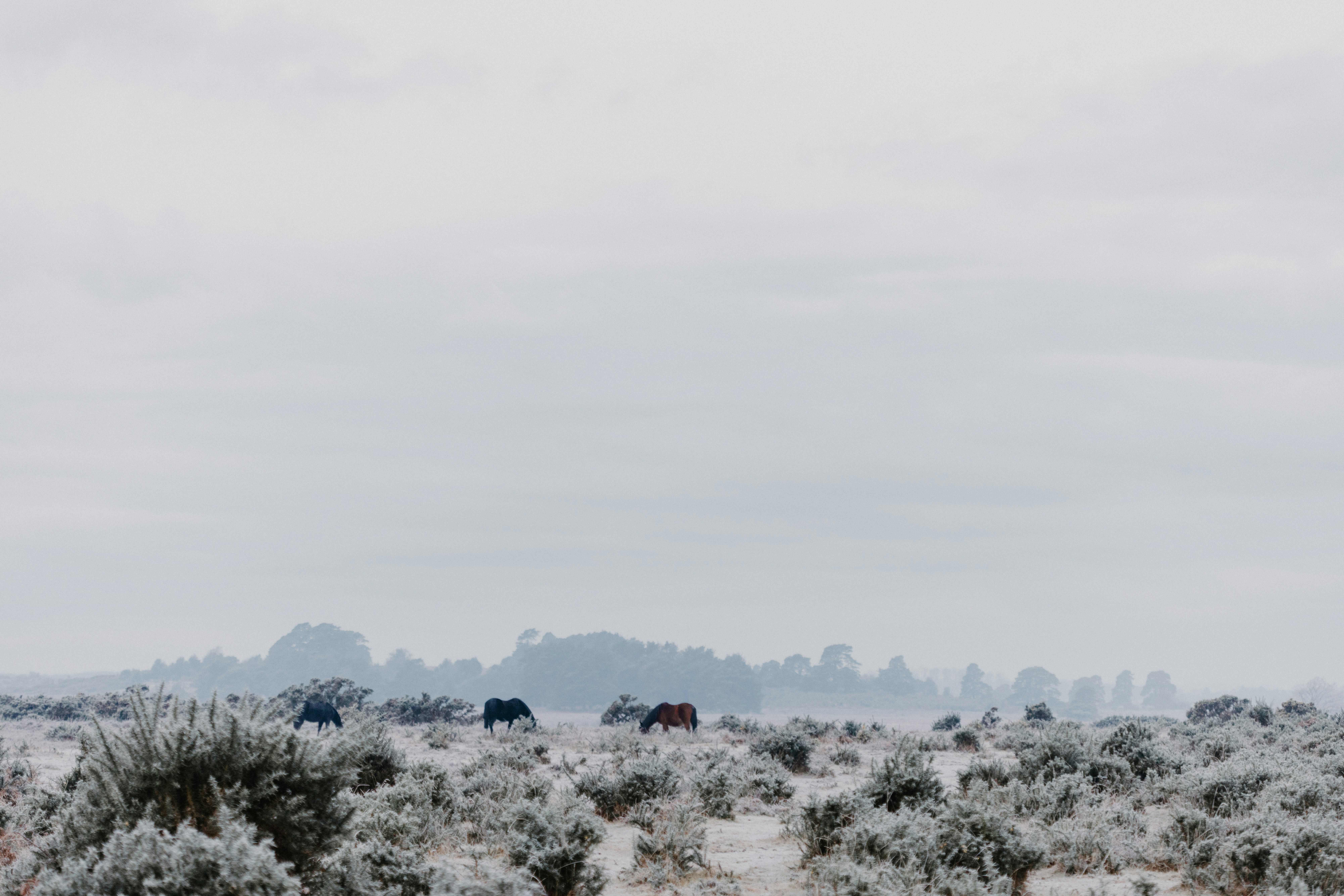 Photo by anniespratt