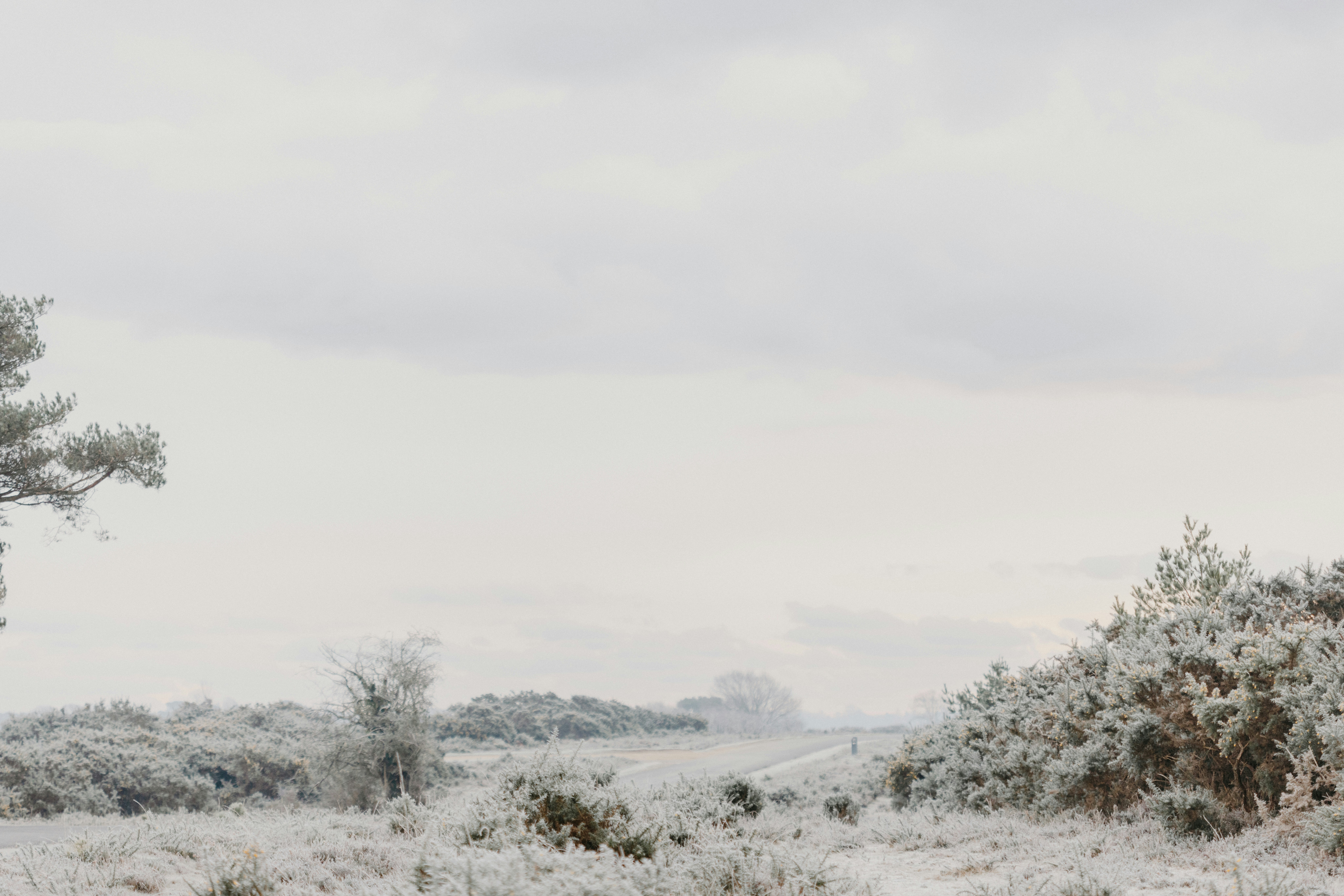 Photo by anniespratt