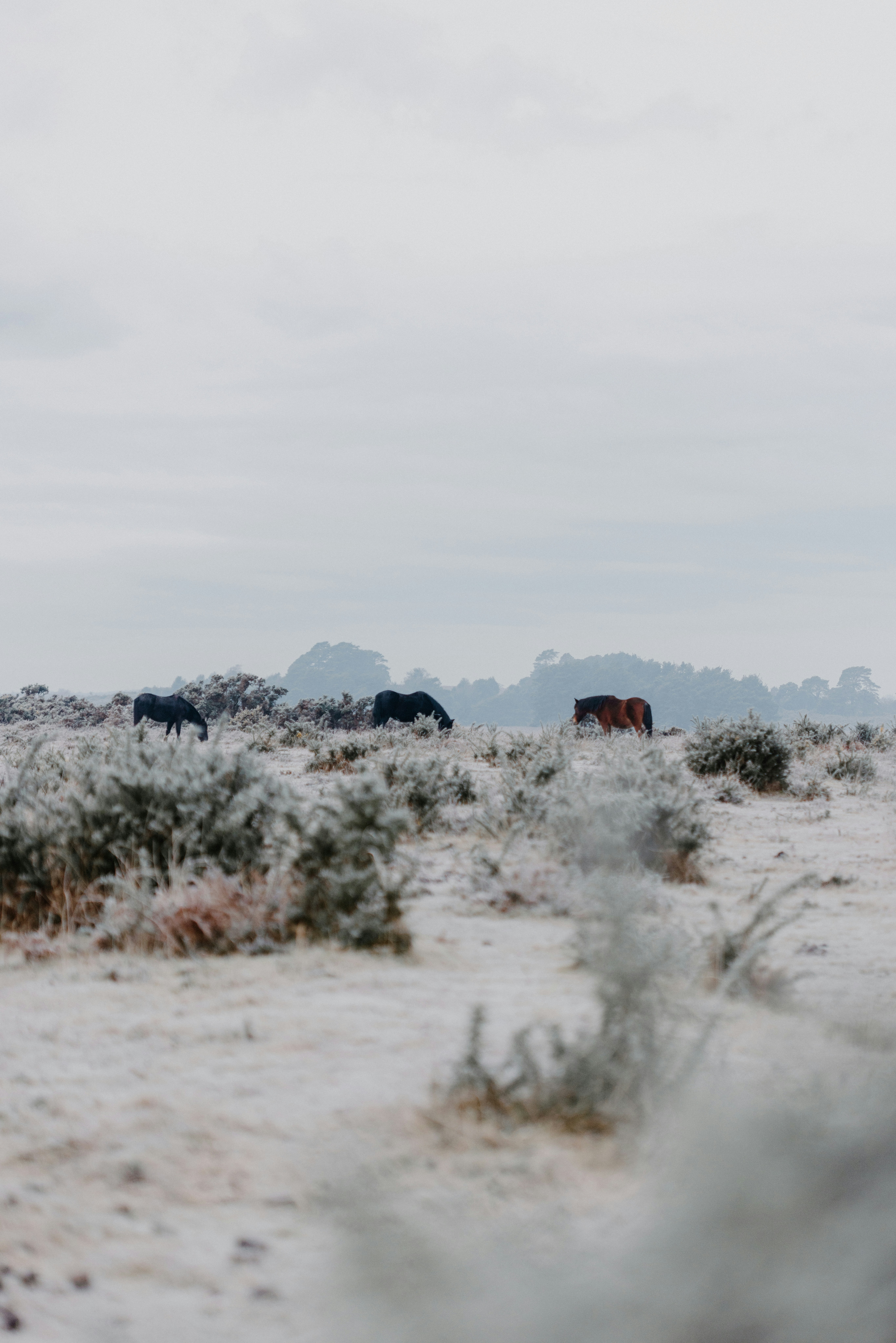 Photo by anniespratt