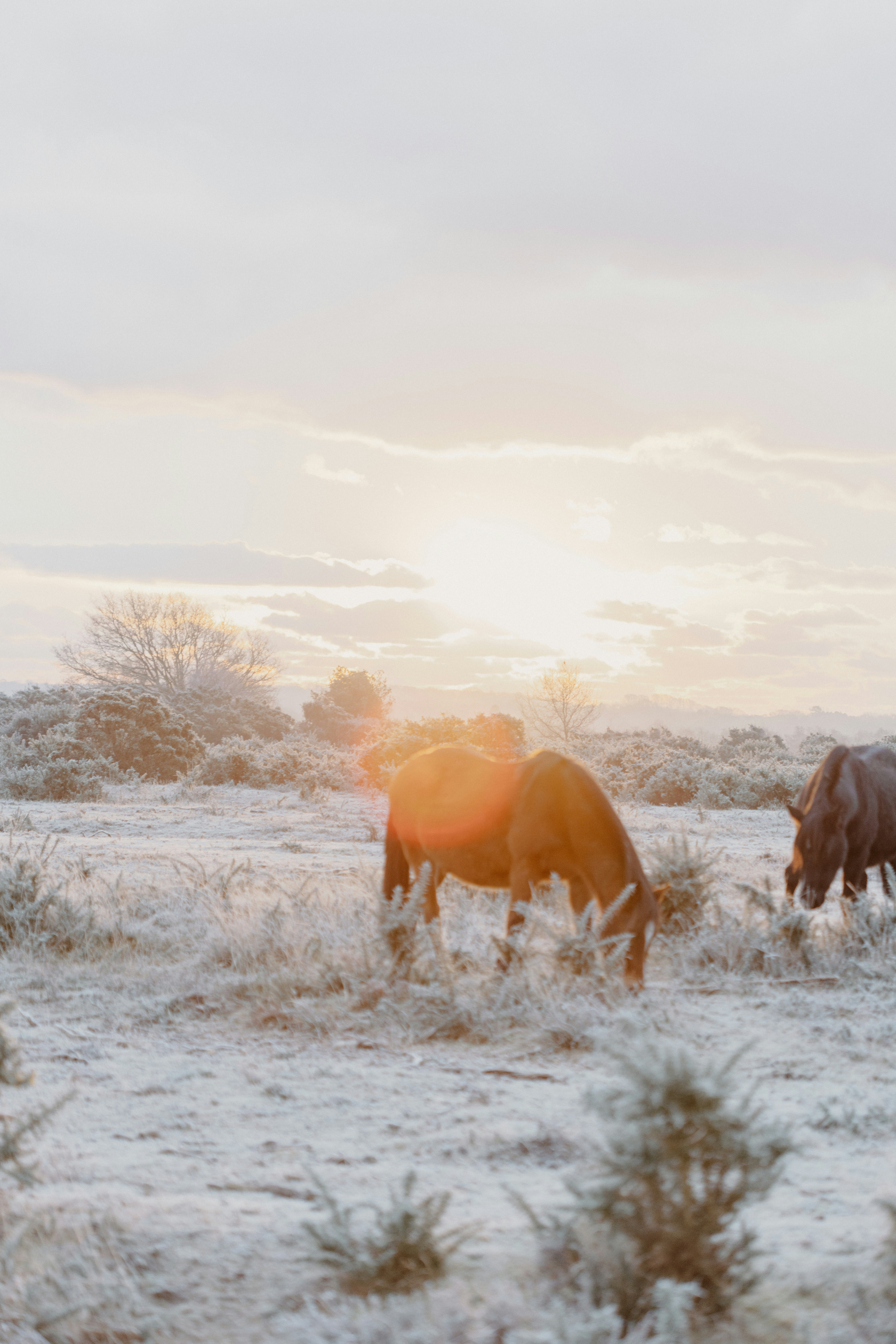 Photo by anniespratt